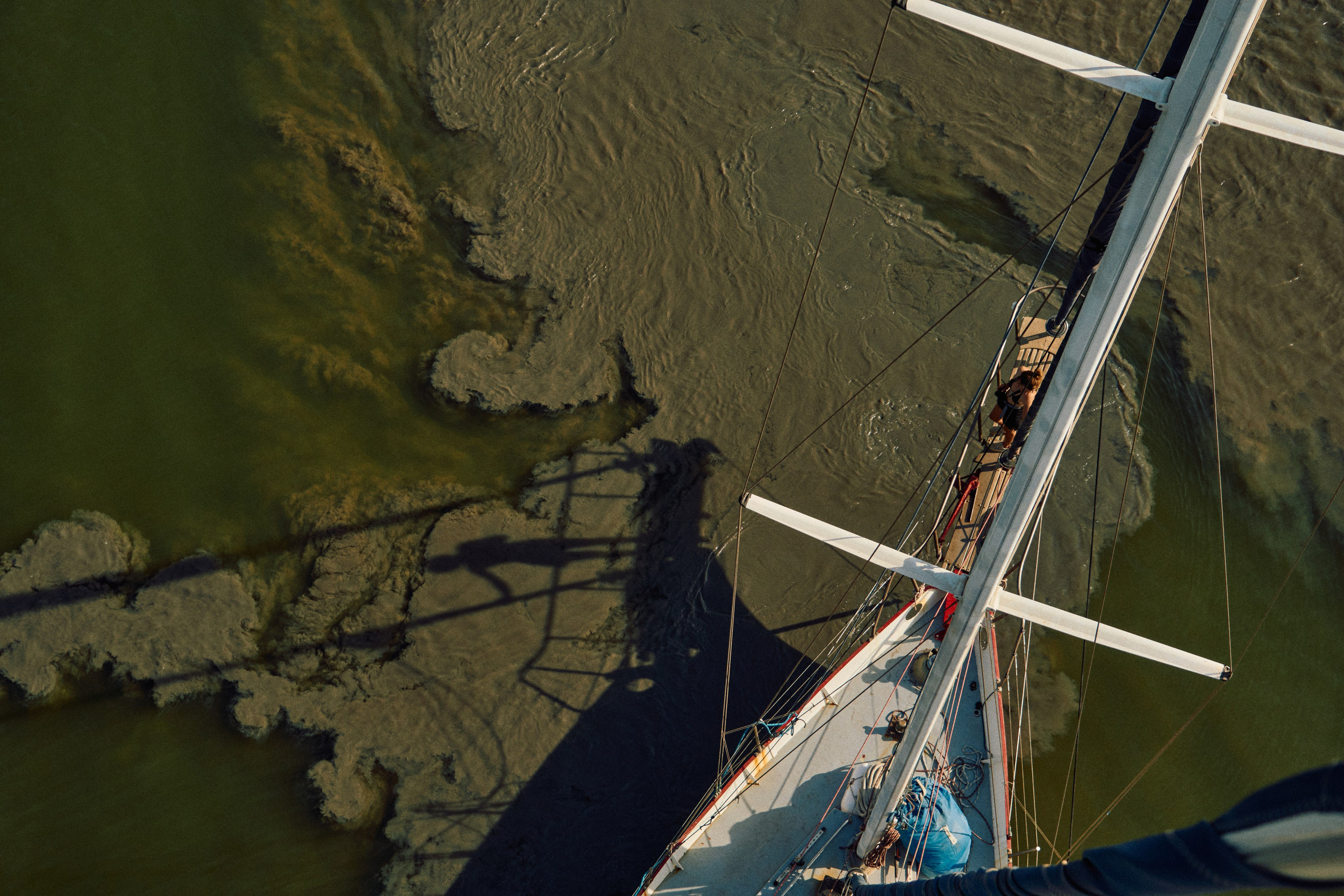 Gambia River. See the moment and catche. commercial and reportage