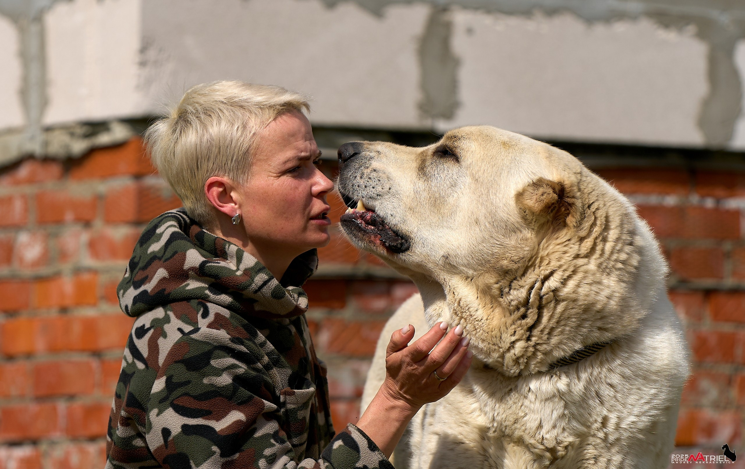 Съемка в питомнике