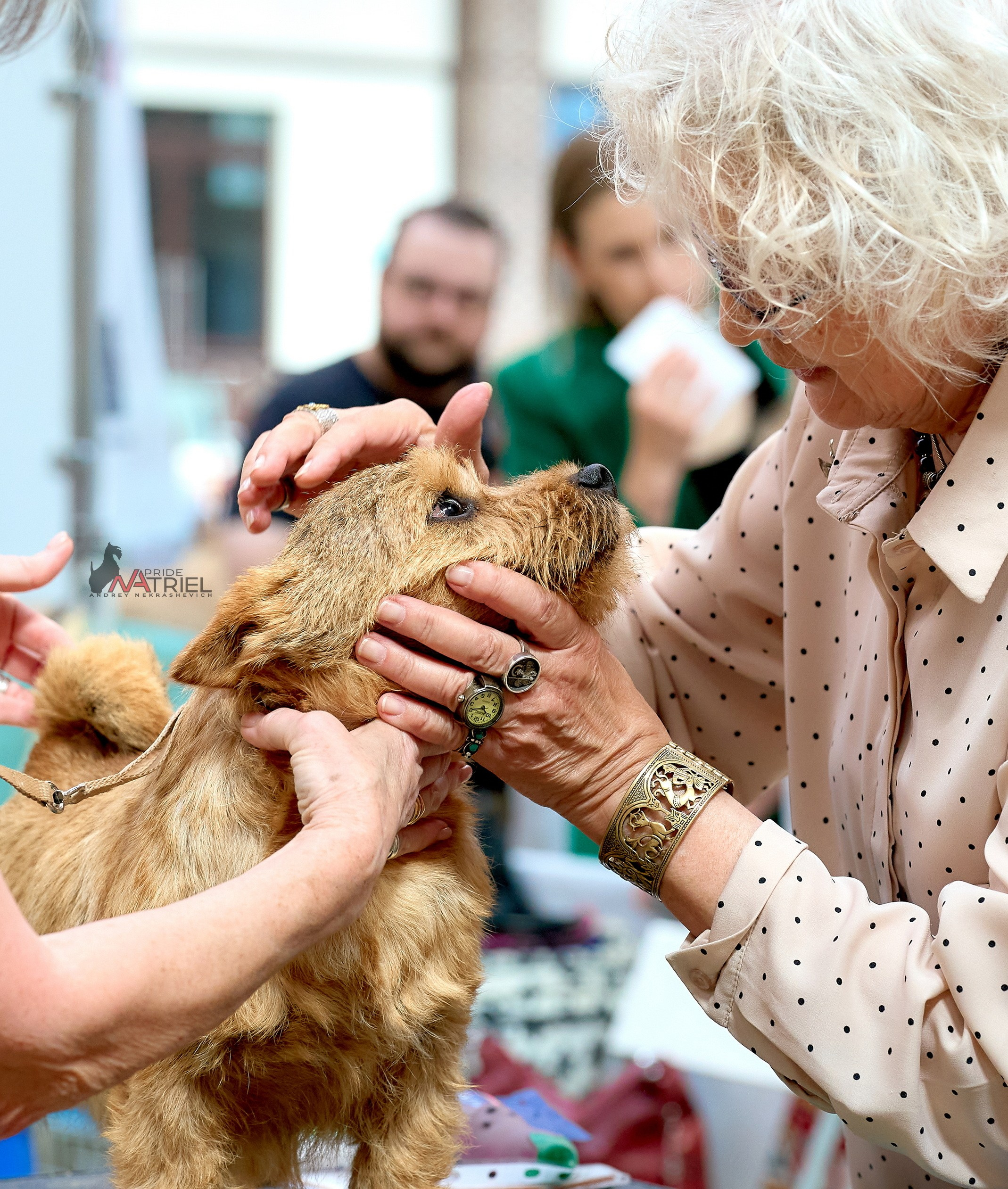 Работа в рингах — галерея NATRIEL