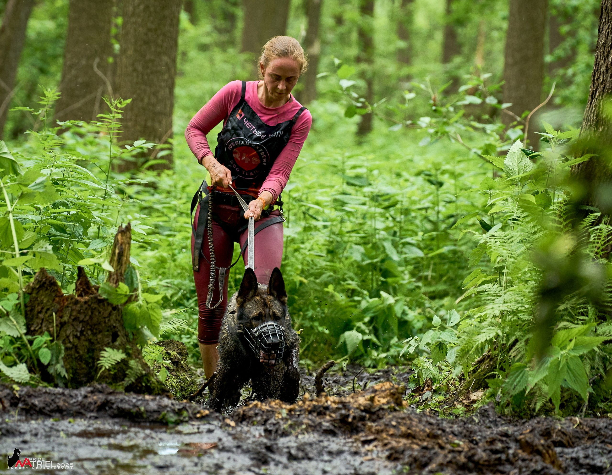 Russian Extreme Dog Trail — 2025