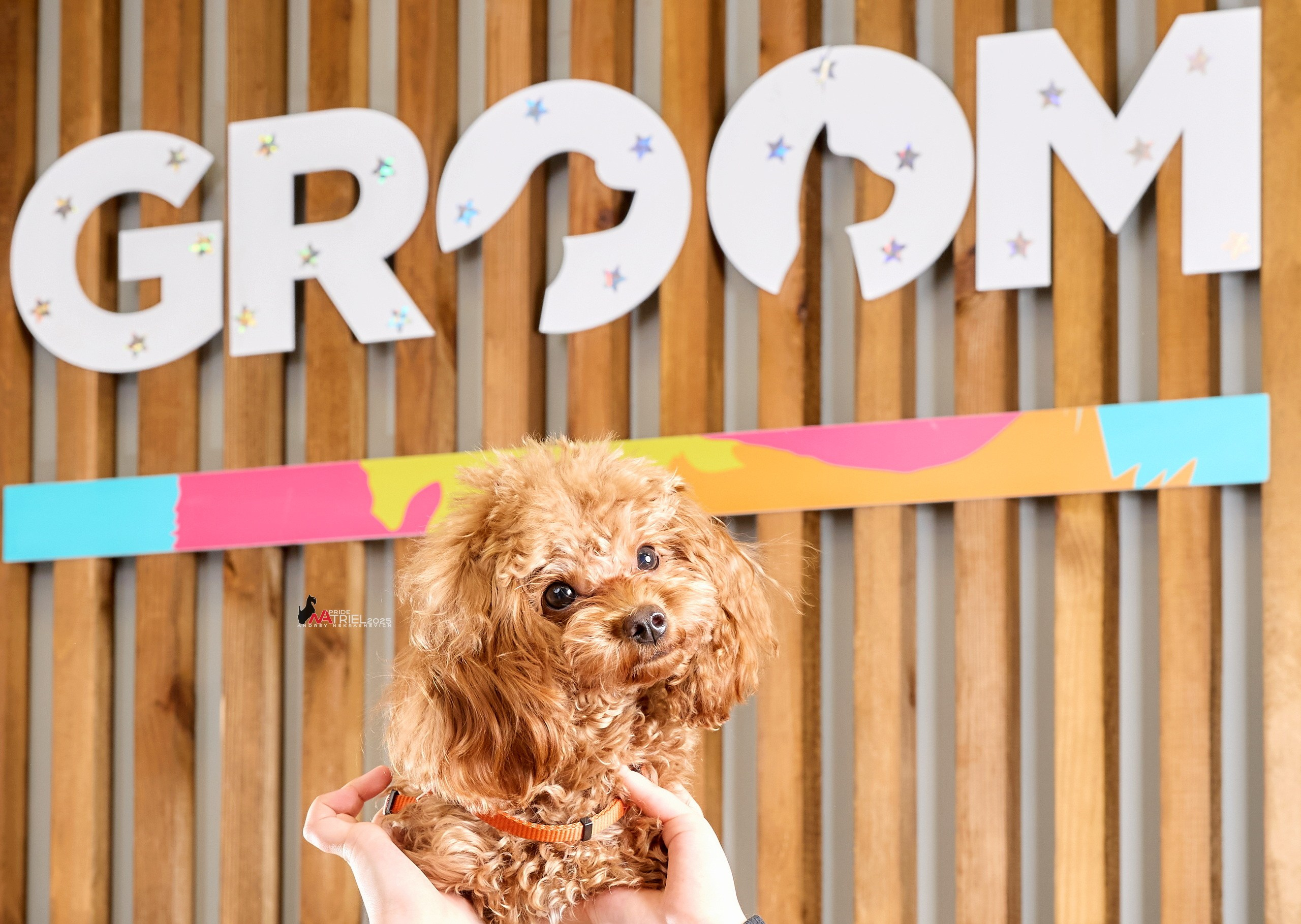 Репортаж GROOM с мобильным светом