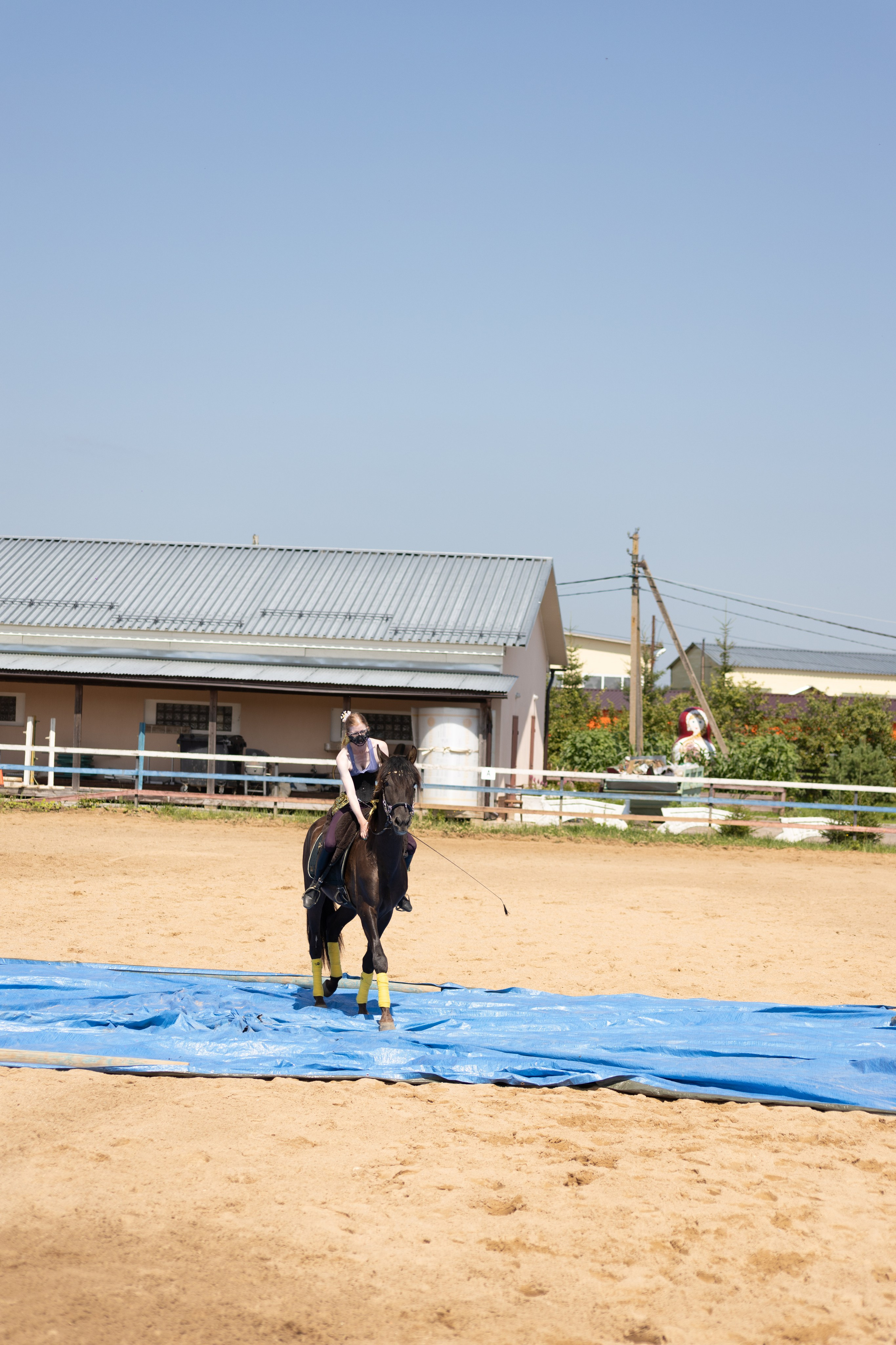 Конюшня. Фотограф в Москве и Истре