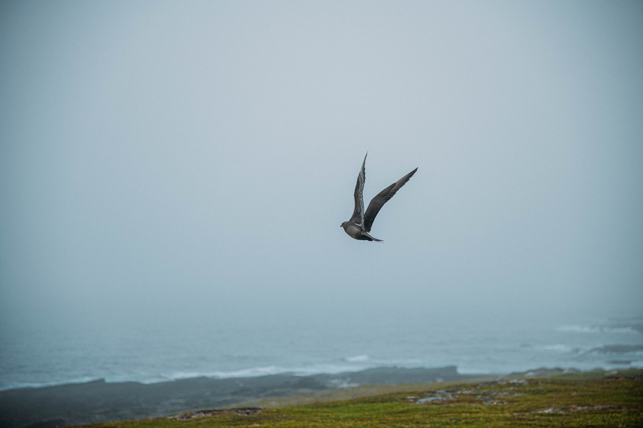Кольский полуостров. Фотографирую для себя, своей семьи и друзей!