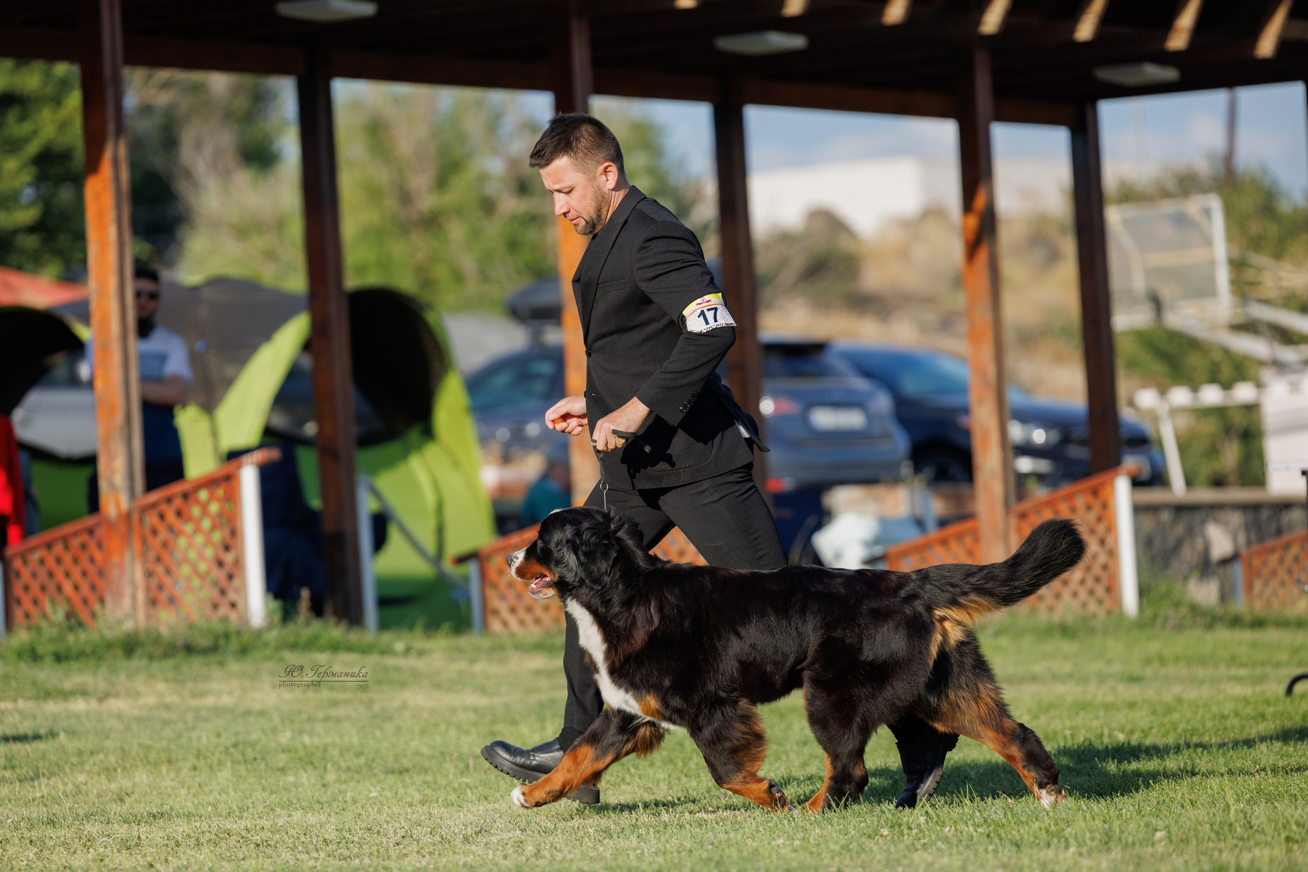 Ереван 3хCACIB 23-25.06.2025. Фотограф-анималист Юлия Германика