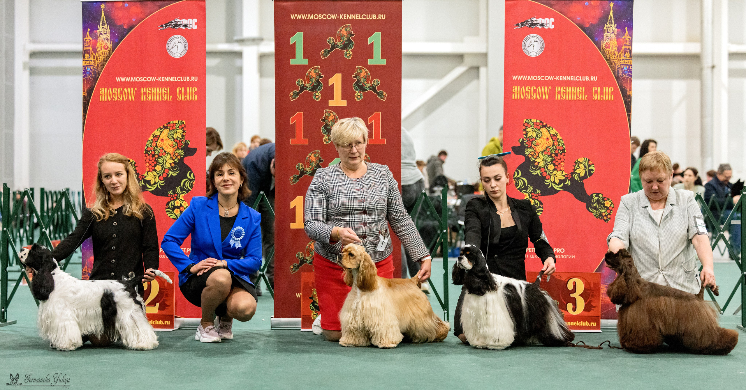 Сфера 29.10,Крокус 4.11,Сфера 12.11.2023. Фотограф-анималист Юлия Германика