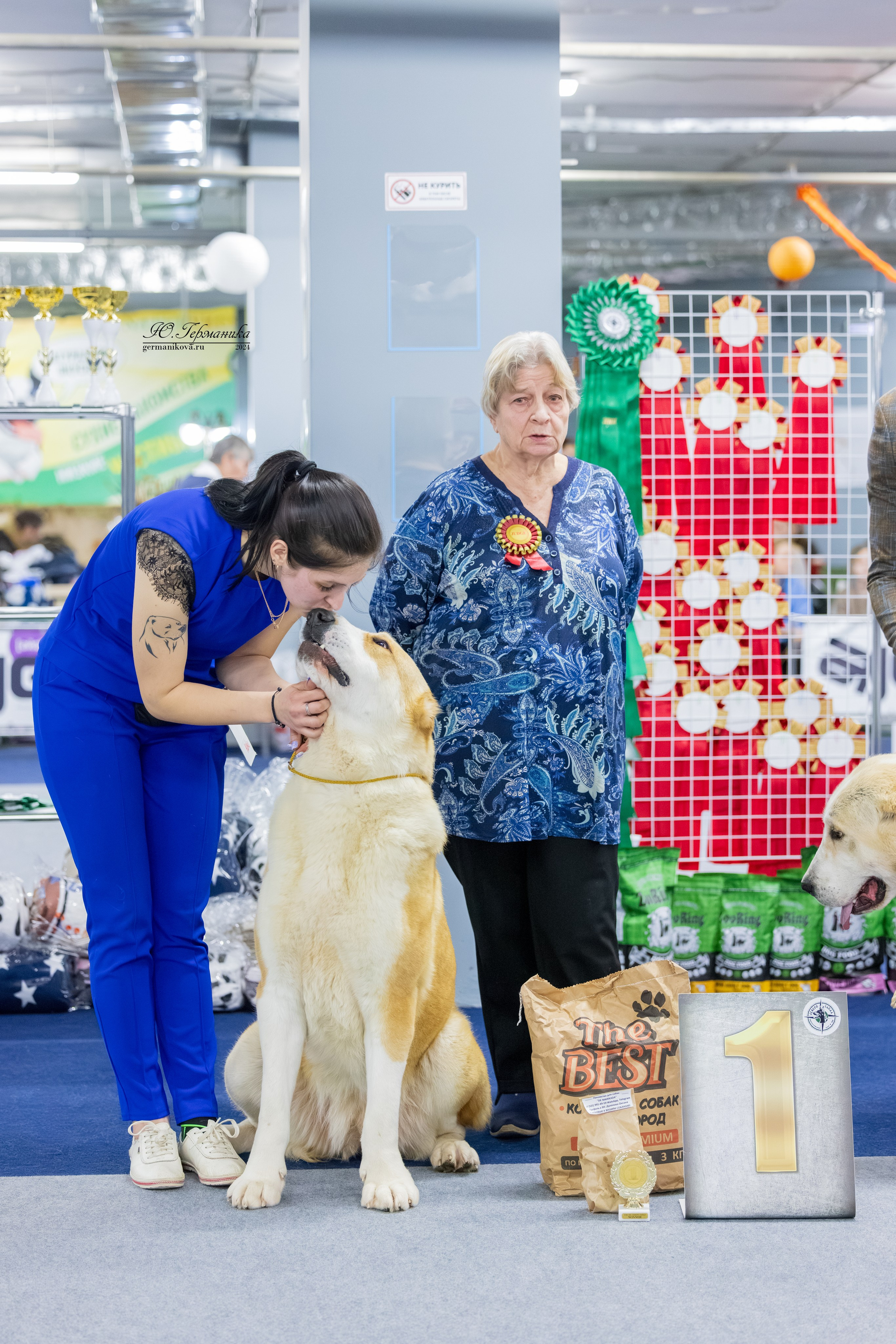Сфера 08 и 10.03.2024 2хмоно ротвейлеров+2хмоно сао. Фотограф-анималист Юлия Германика