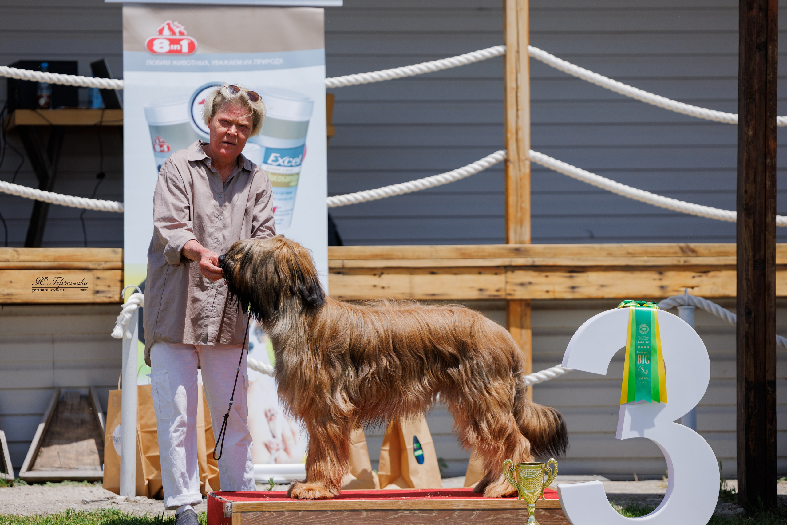 Ереван 3-5.06.2024. Фотограф-анималист Юлия Германика