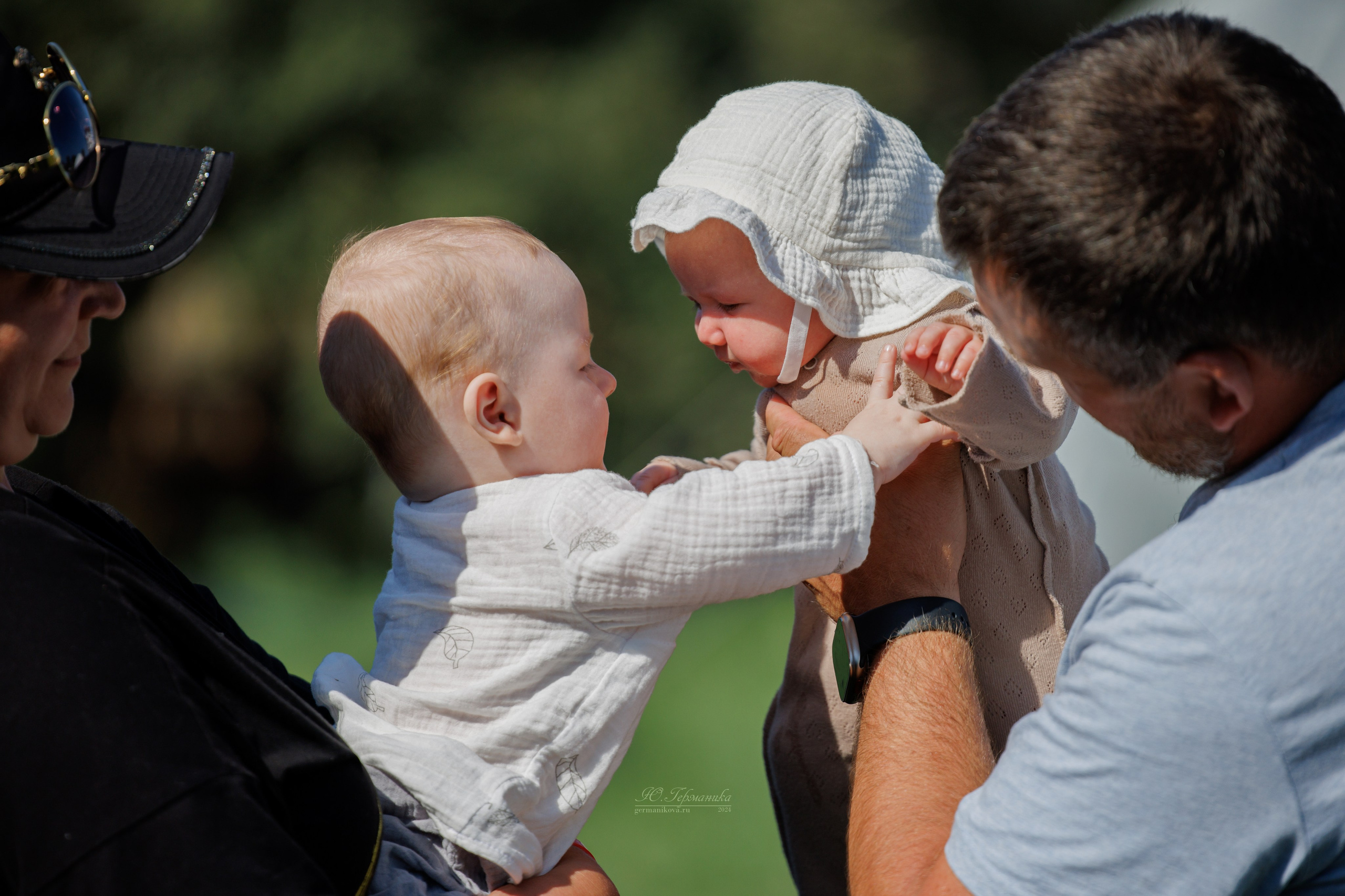 Анапа ротвейлеры 14-15.09.2024. Фотограф-анималист Юлия Германика
