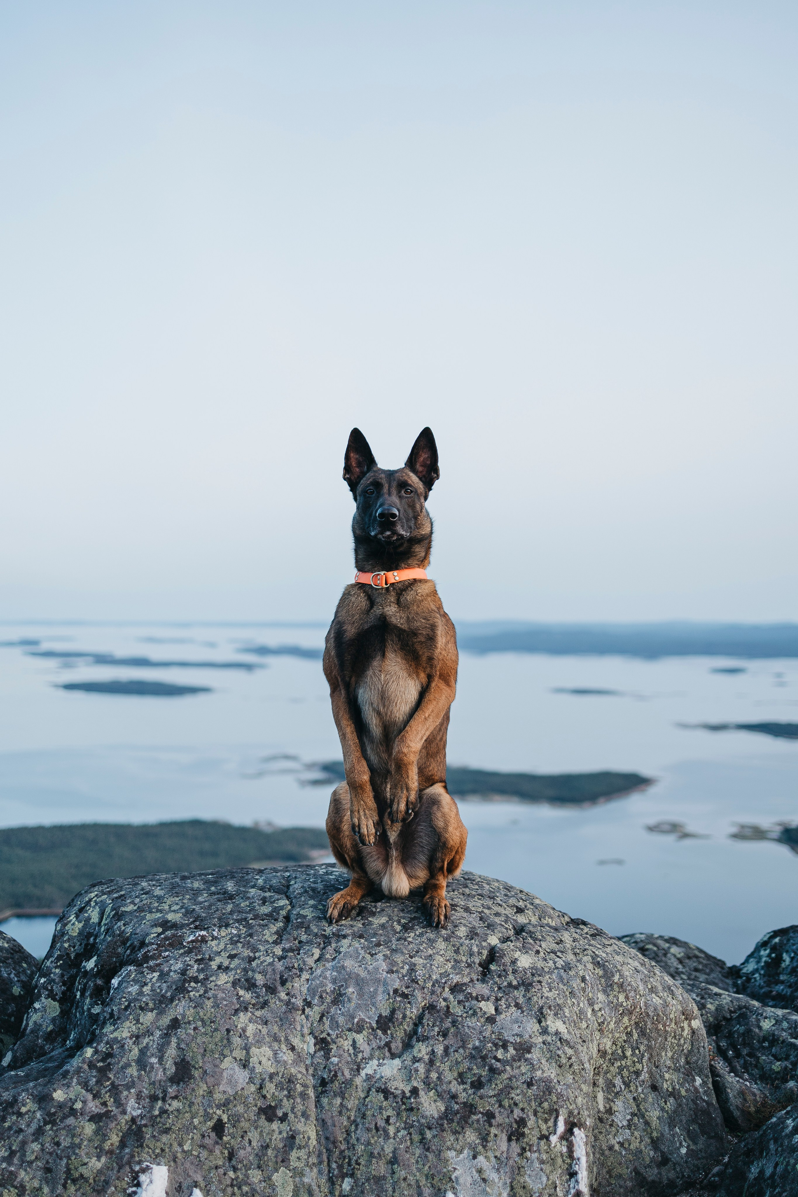 Горы. Фотограф-анималист Анна Маринич