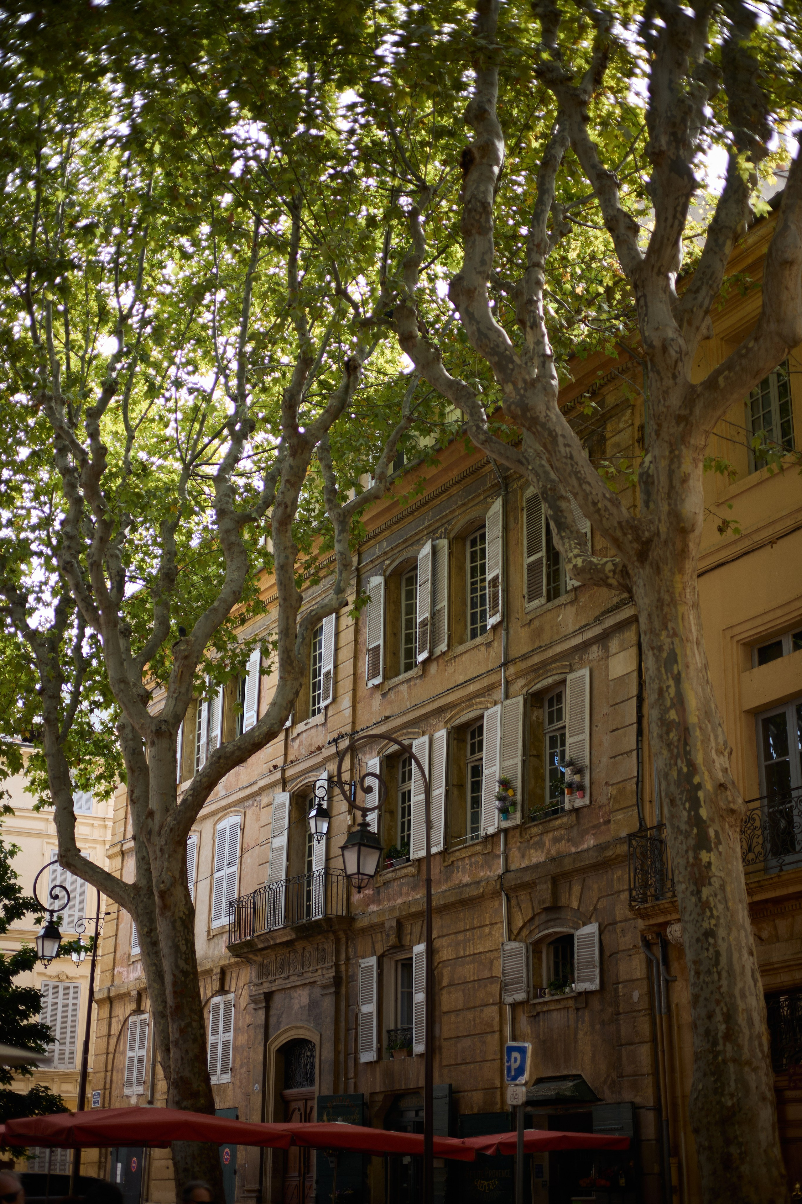 France (Provence & Paris) Sep'25. Анастасия Зобнинá — фотограф в Санкт-Петербурге/СПб