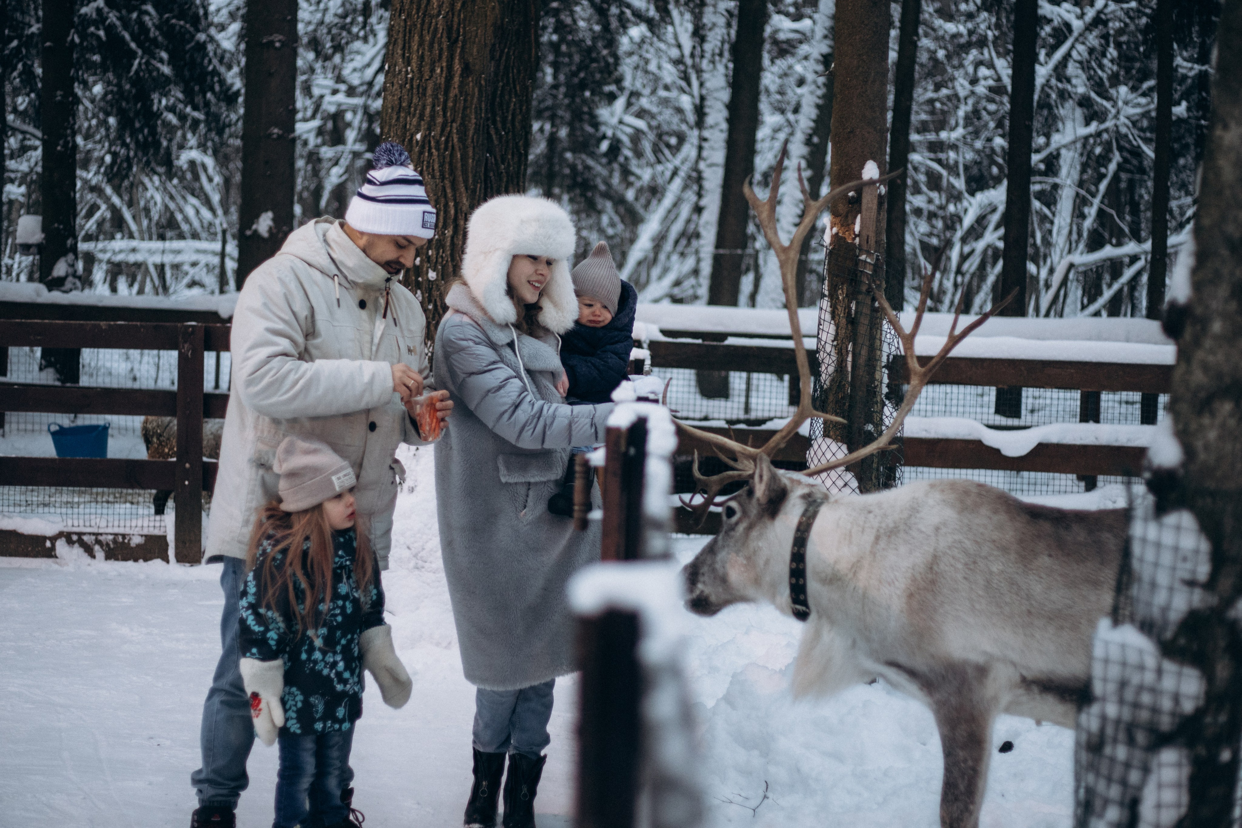 Семейная. Женский и семейный фотограф в Москве Лисовская Юлия
