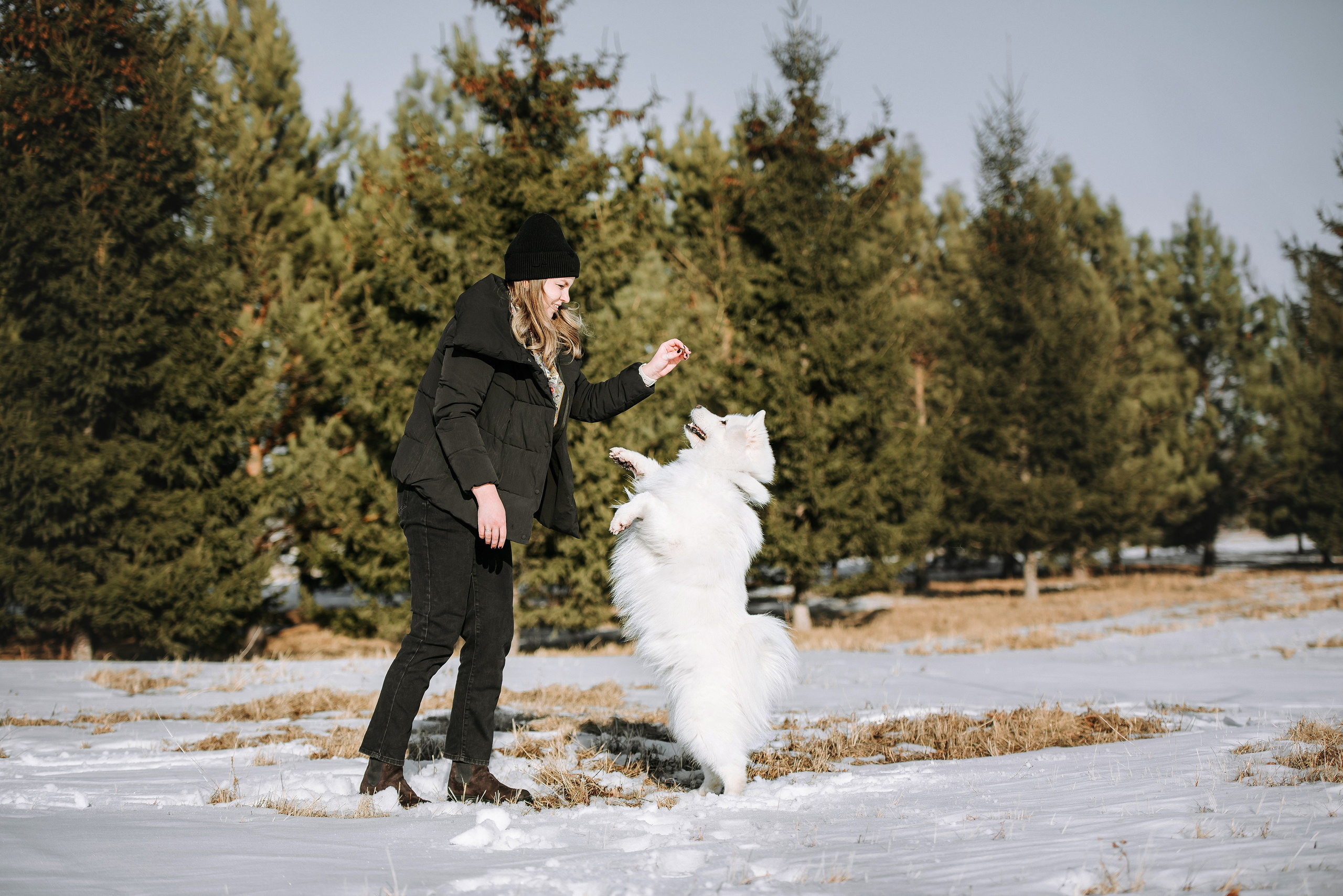 Фотопрогулка с питомцами. Фотограф Диана Оленина Красноярск / Братск