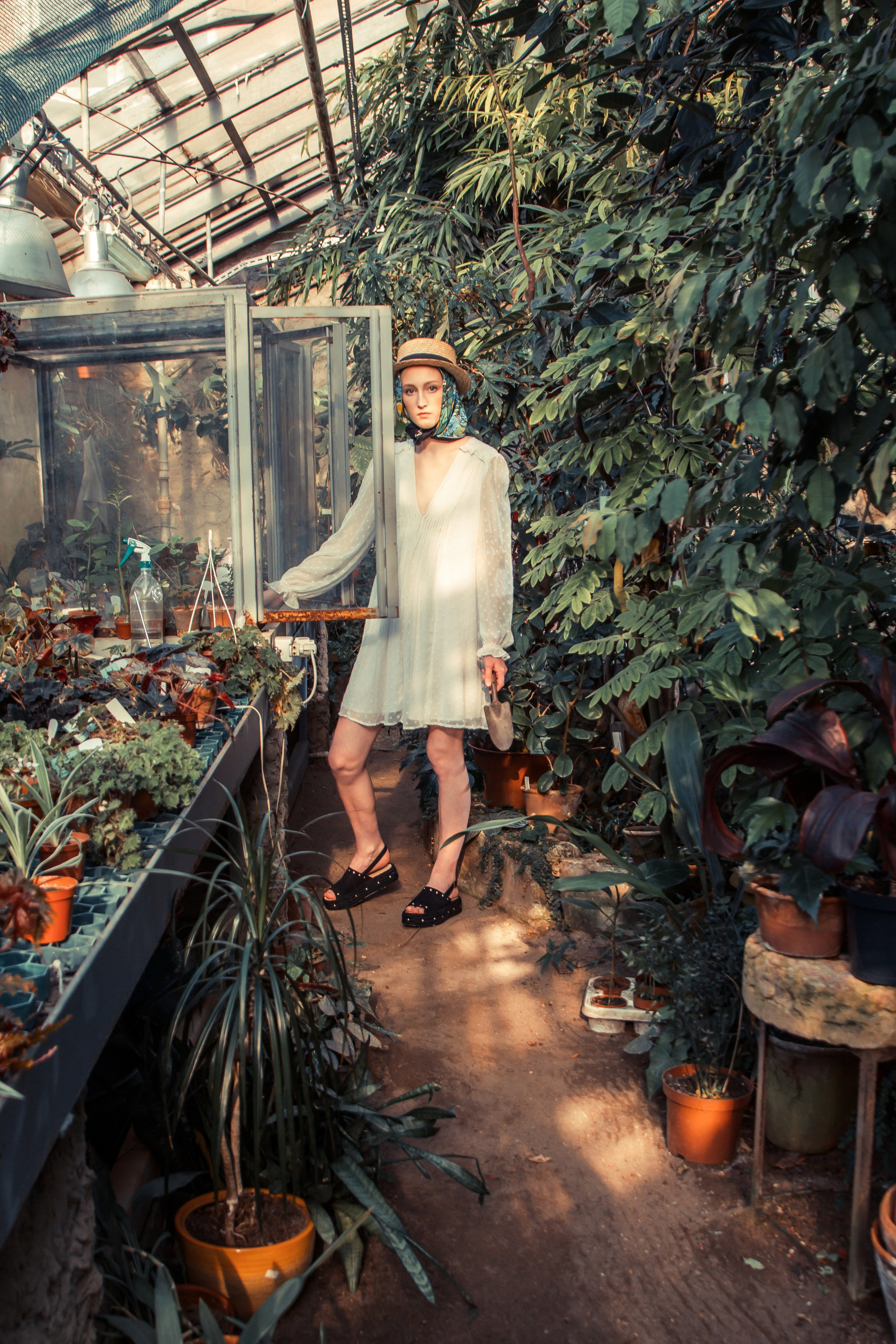 Editorial. KASSANDRA.MEDIA