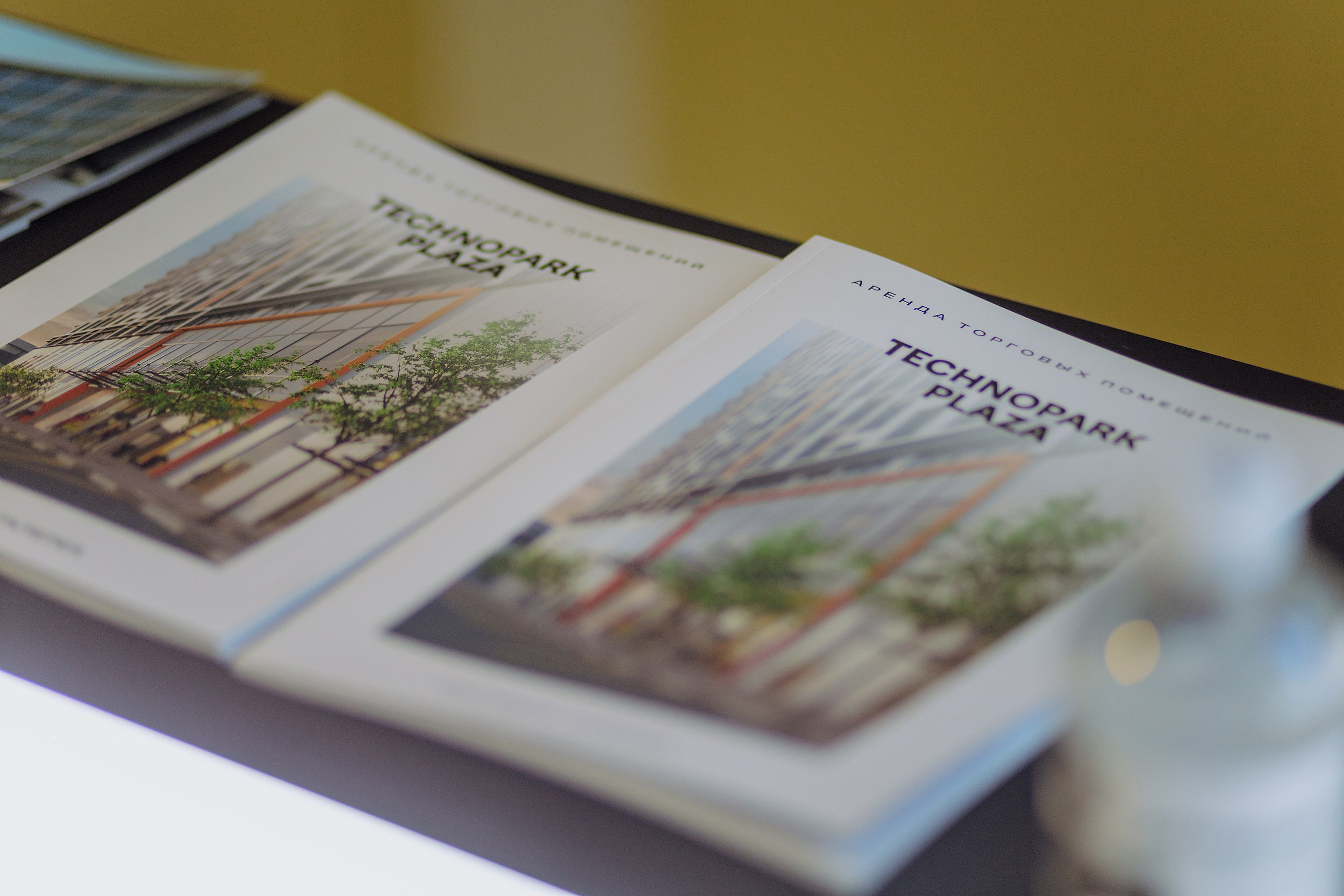 Mallpic2024. RetroChic Фото