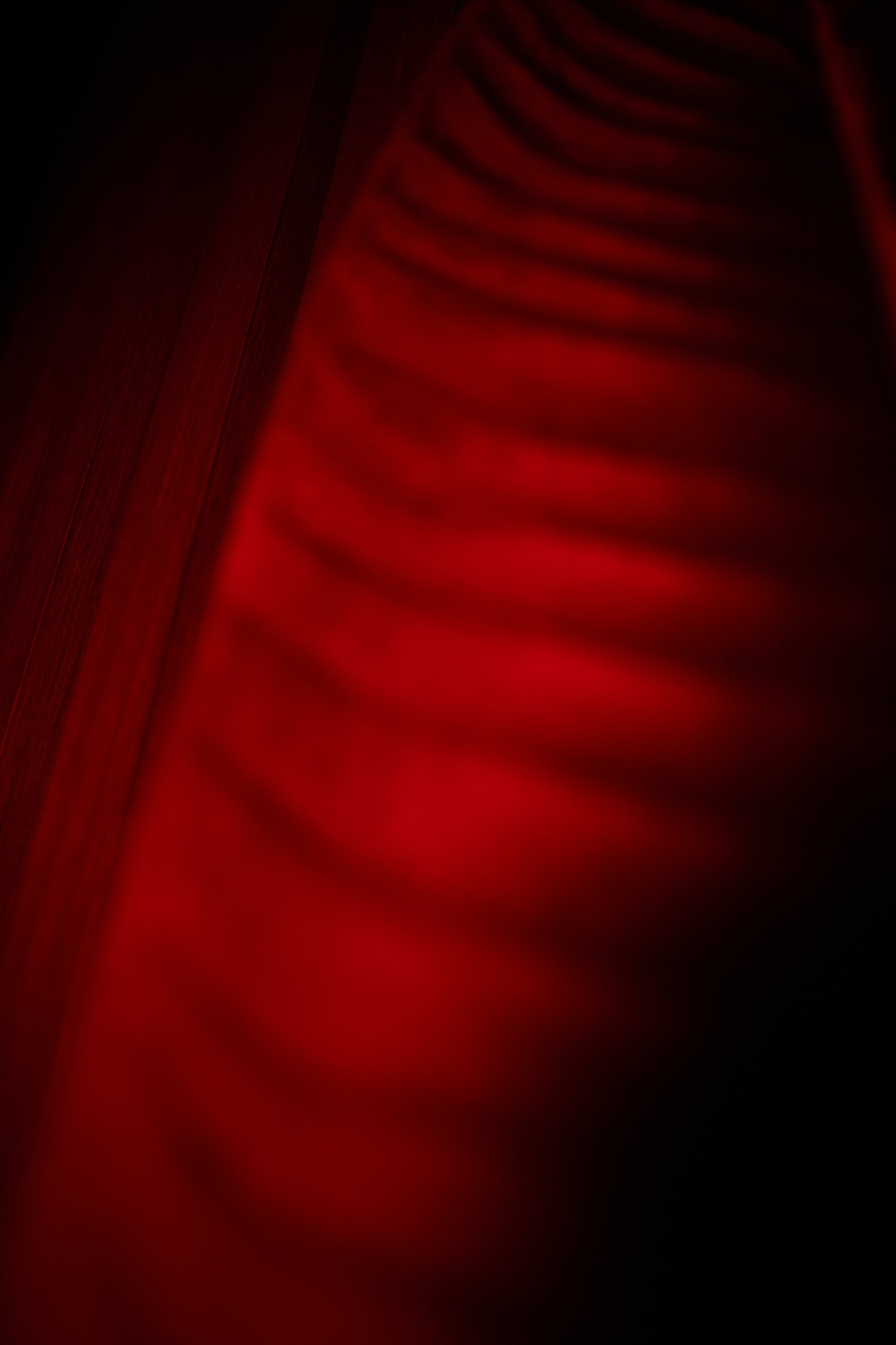 Dj Nils в Сочи. RetroChic Фото