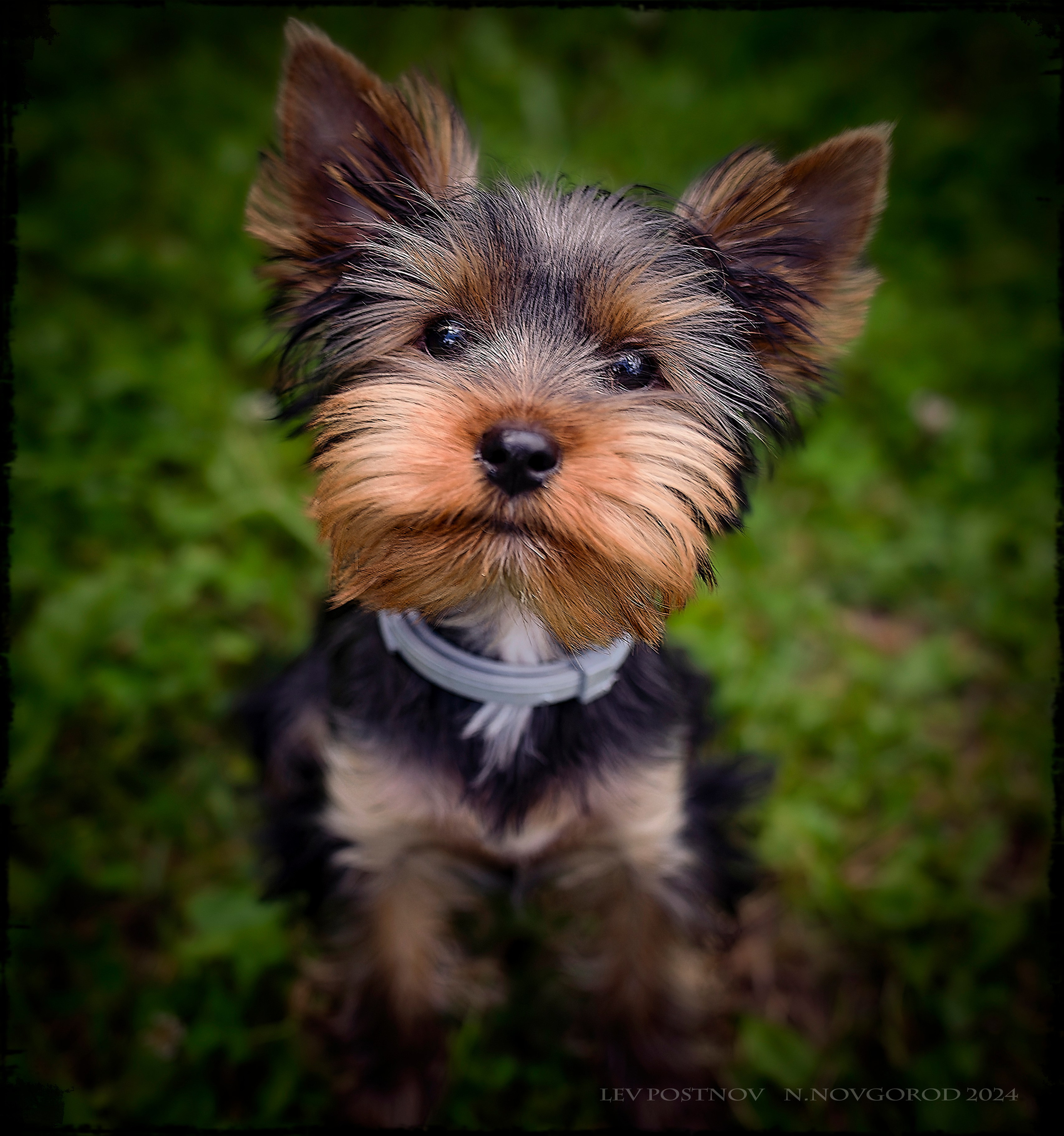 Тофик. Лев Постнов.Фотограф. Нижний Новгород