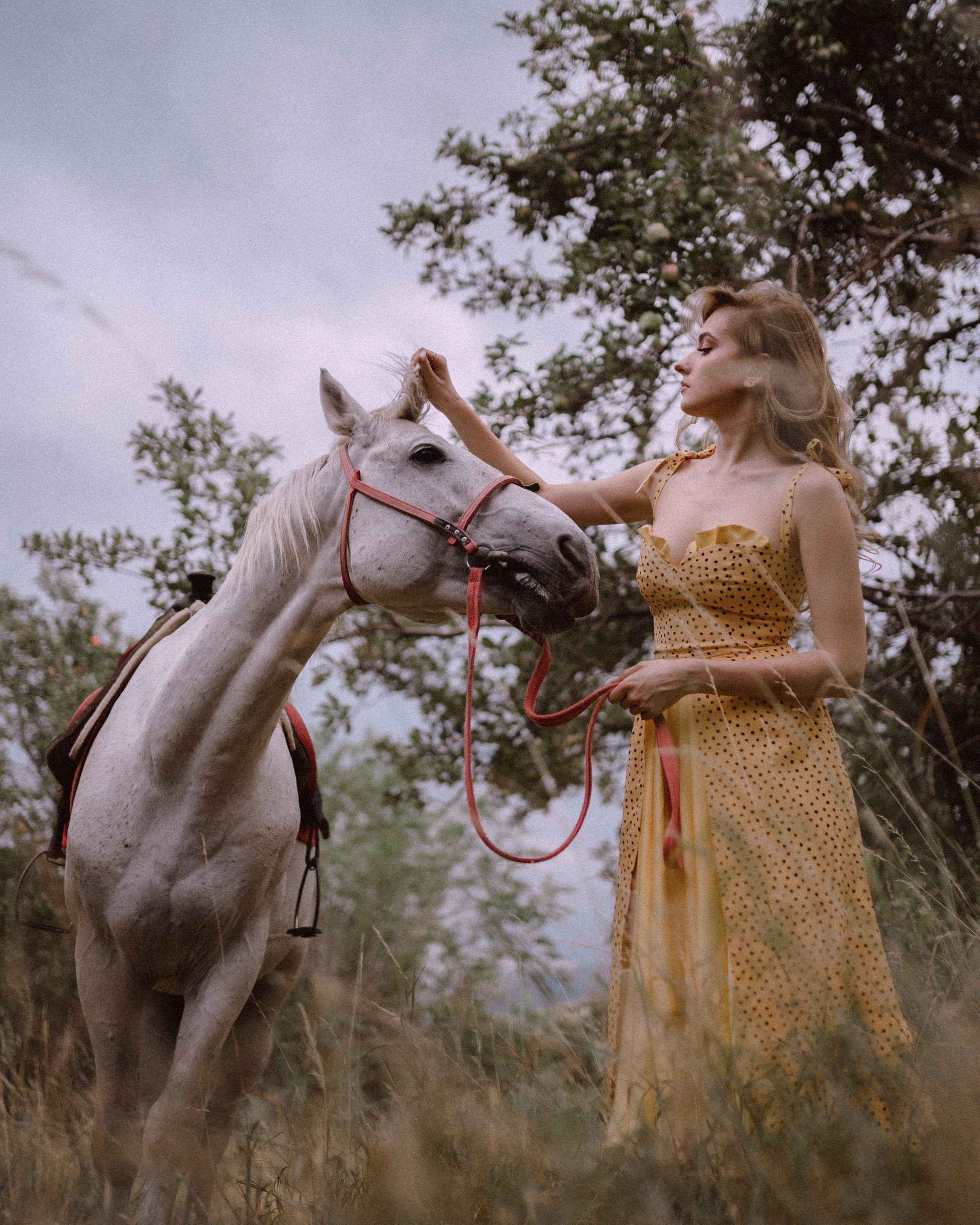 The Equine Muse. Фотограф в Алматы Анастасия Новоселова
