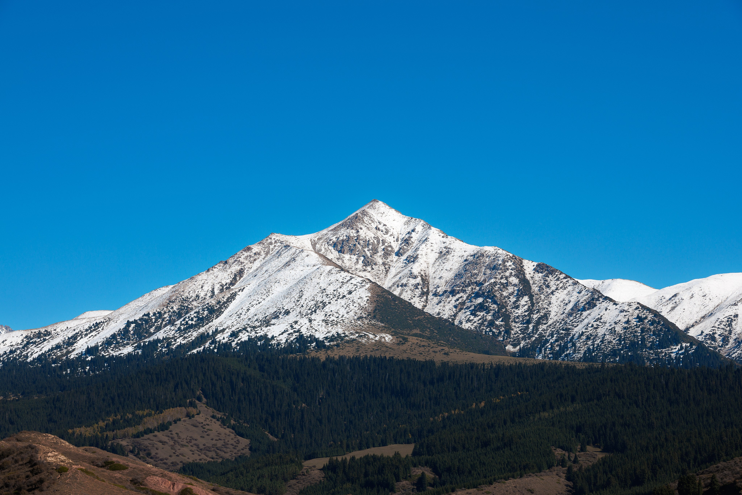 Репортаж. Портретный фотограф Москва | Елена Столиванова