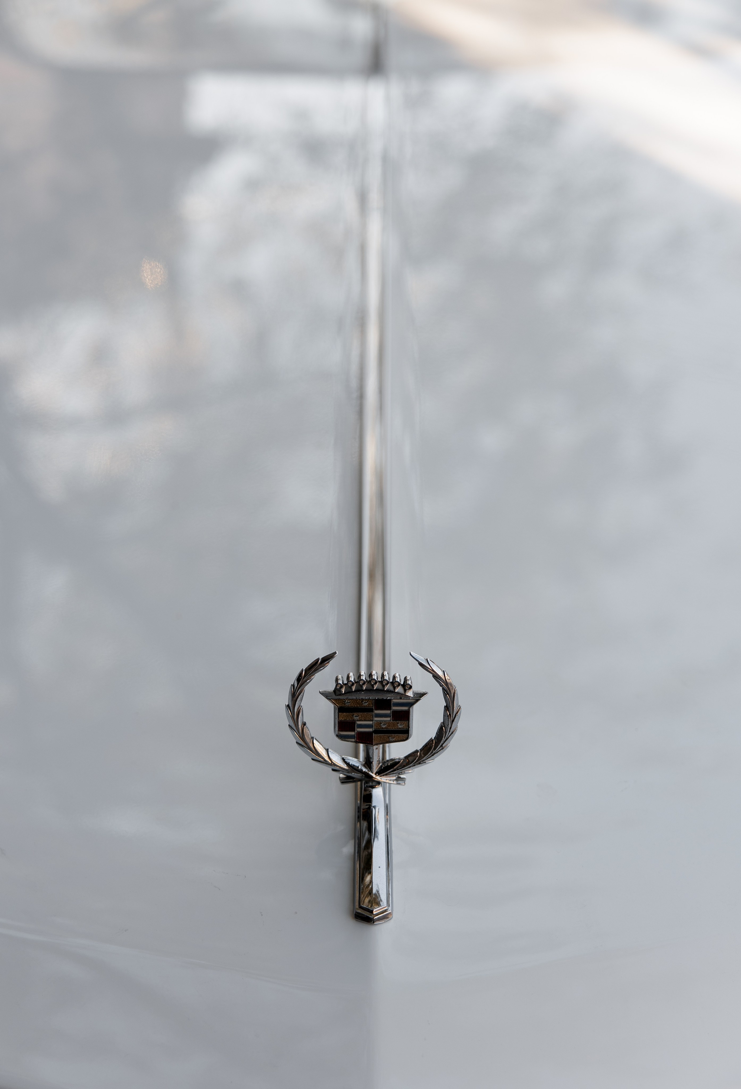 Роман и Анна. Свадебный фотограф в Астрахани