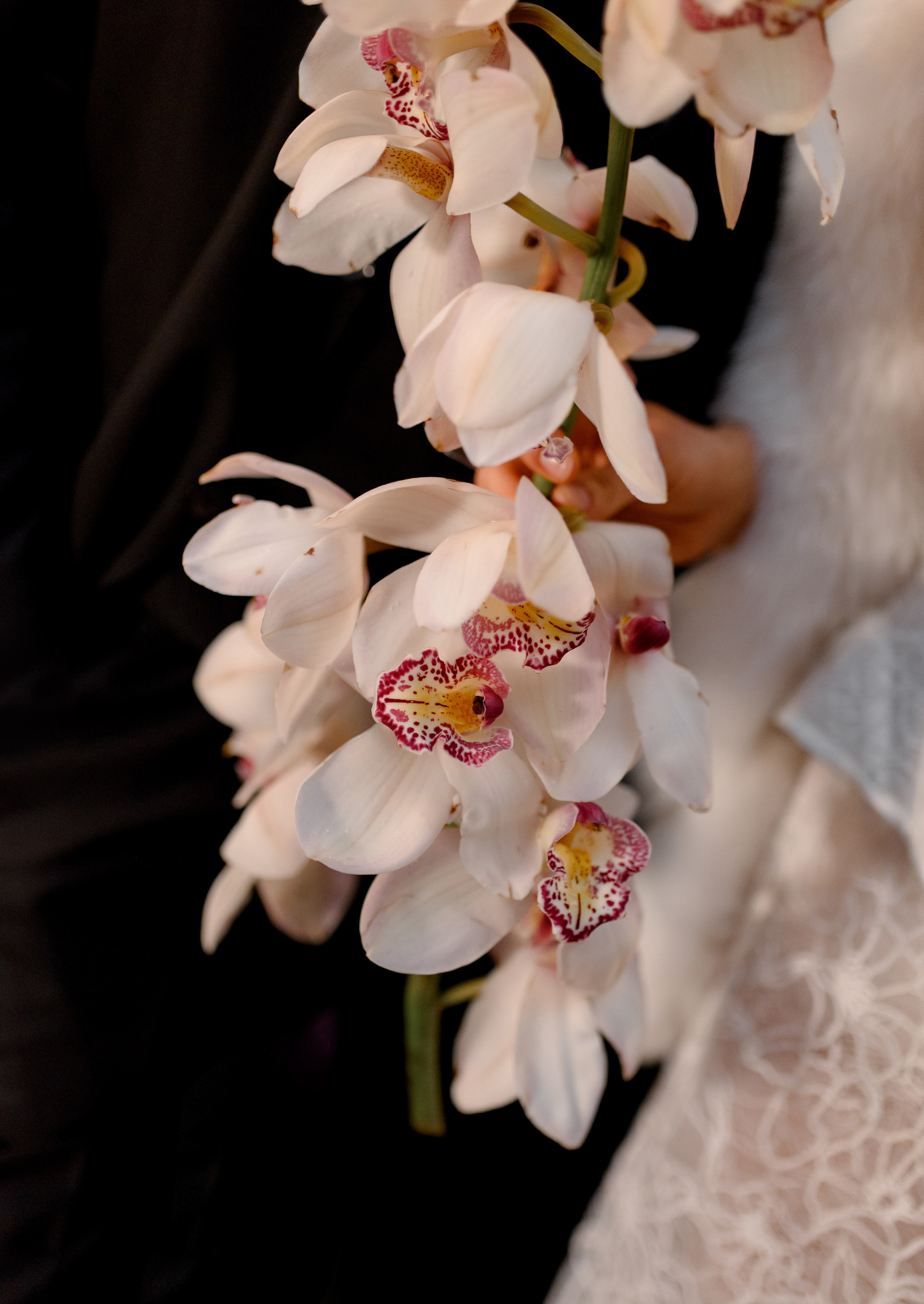 Яна и Алексей. Фотограф Анна Абрикосова