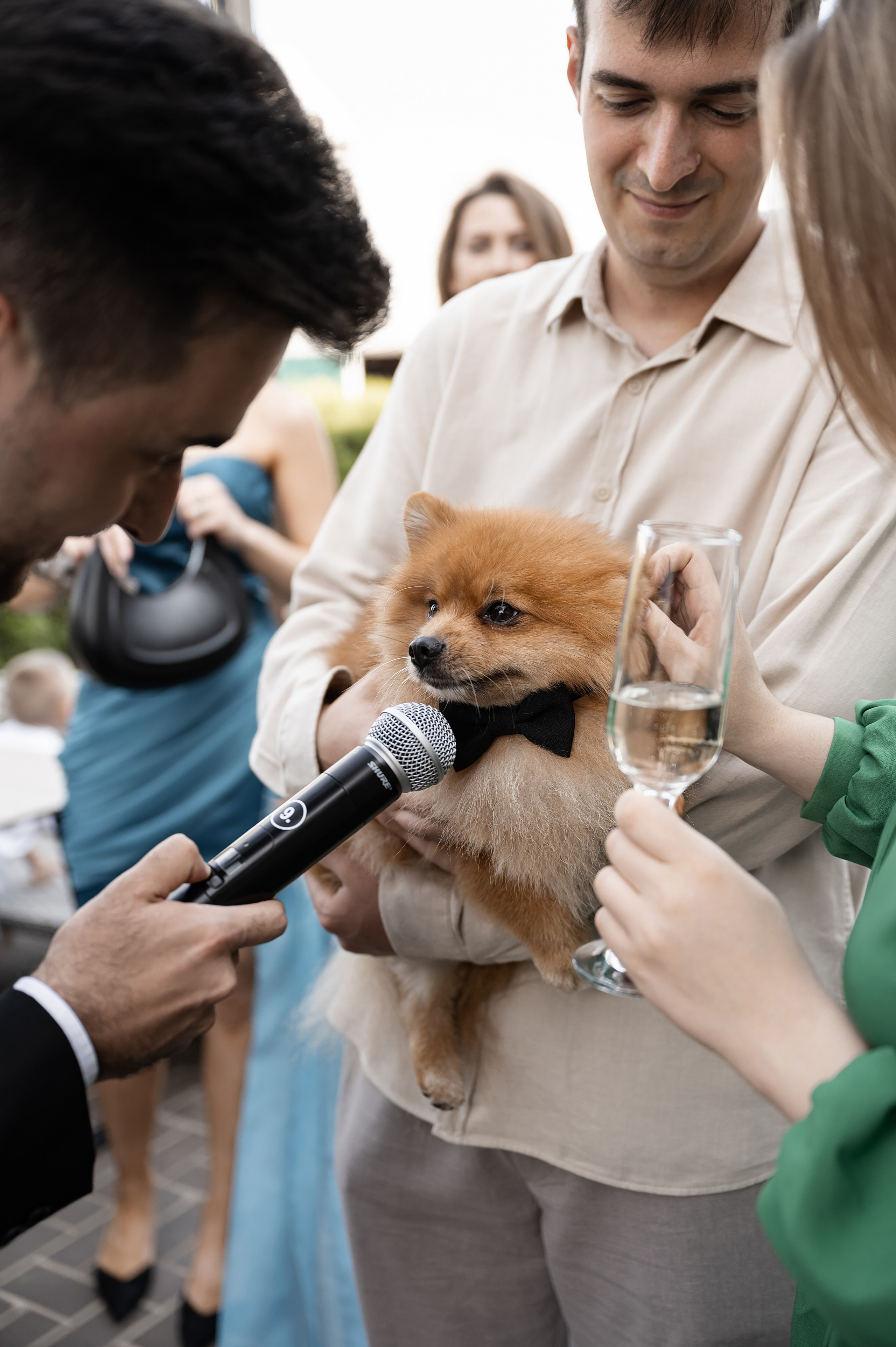 Влад и Александра. Свадебный фотограф и видеограф