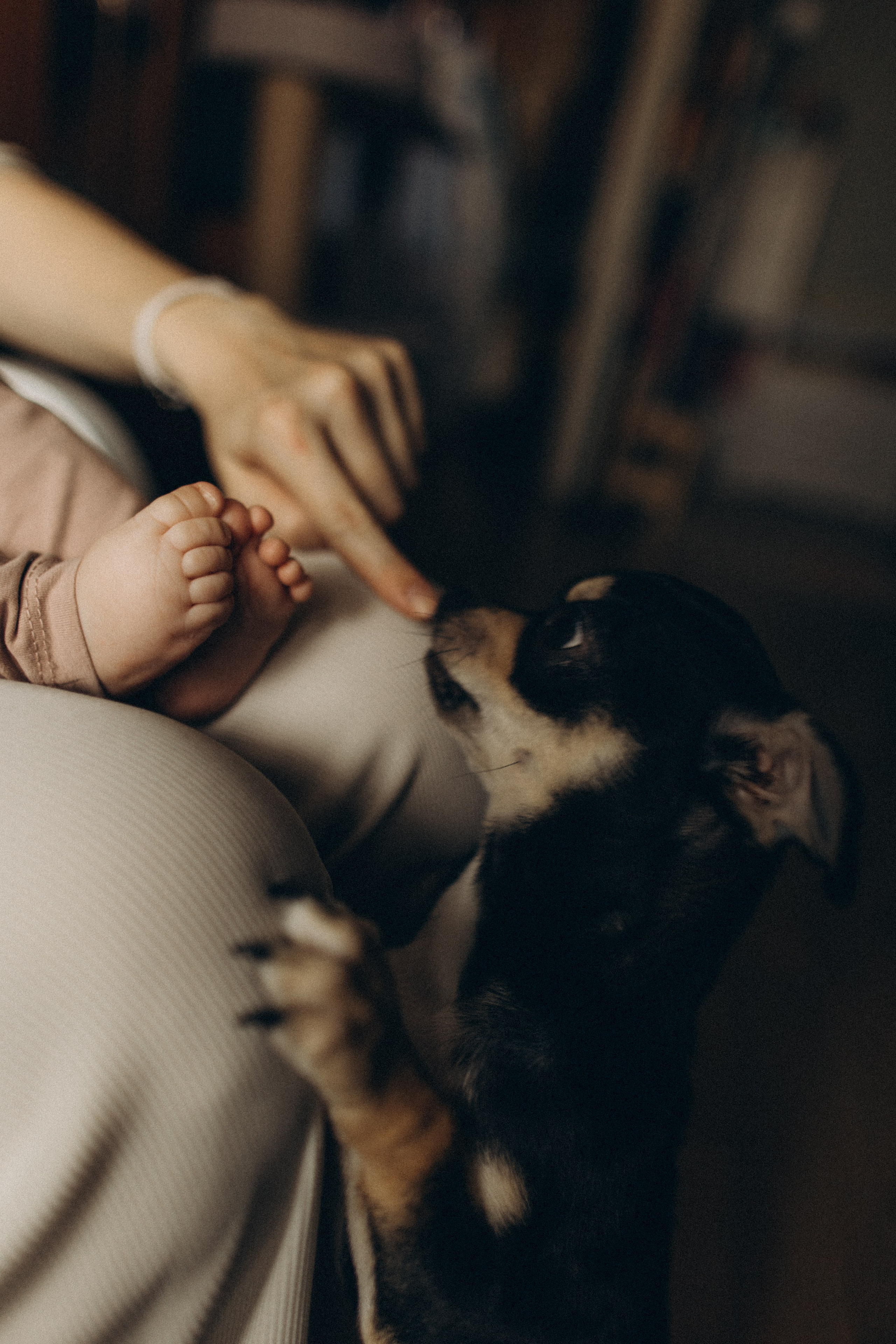 Лиза и Мира. Семейный фотограф в Краснодаре Анна Пасик