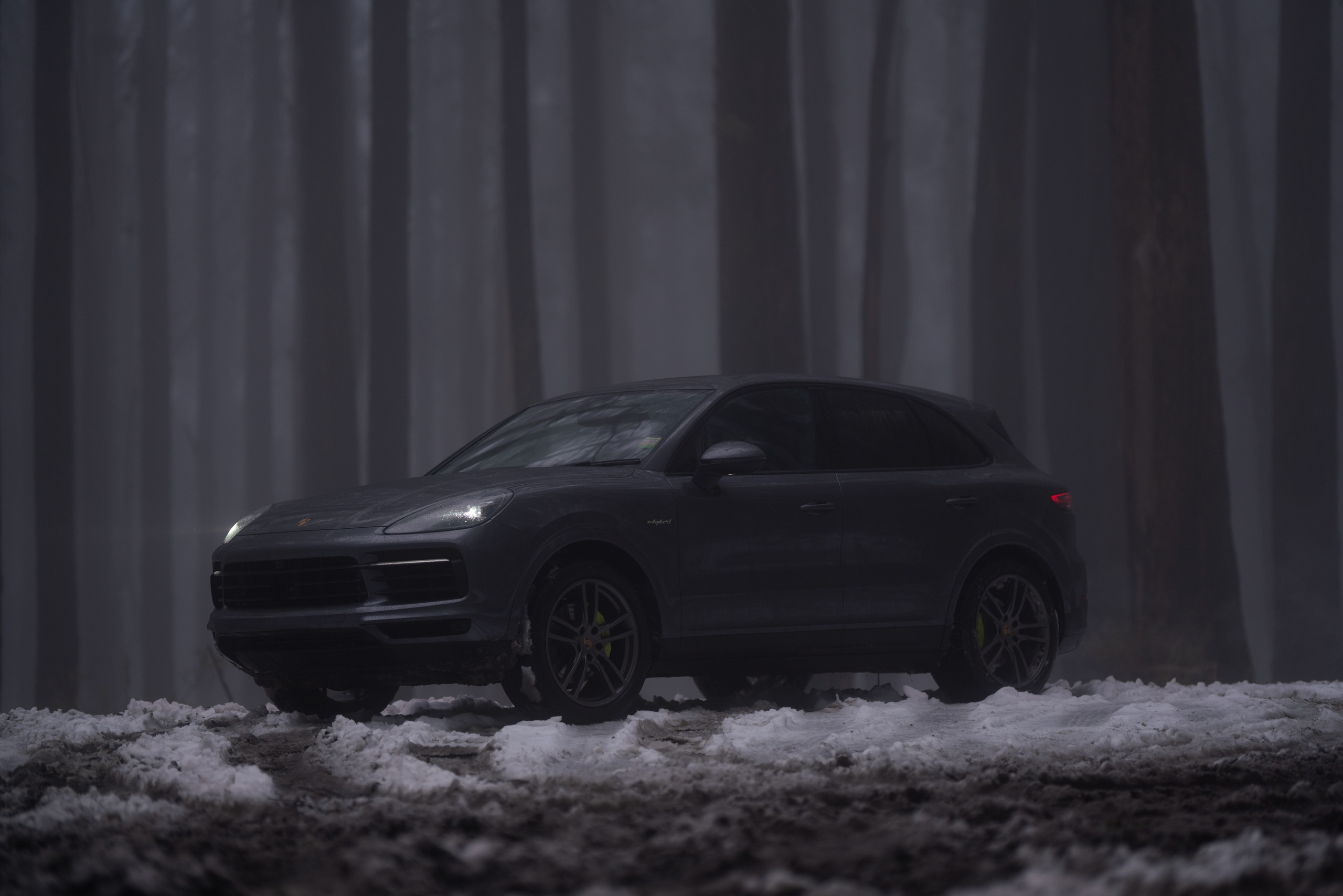 ОБРАБОТКА. Видеограф и Фотограф в Москве