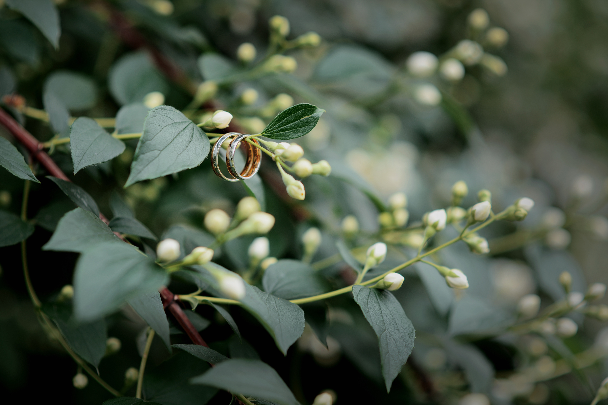 свадебная фотосессия нескучный сад