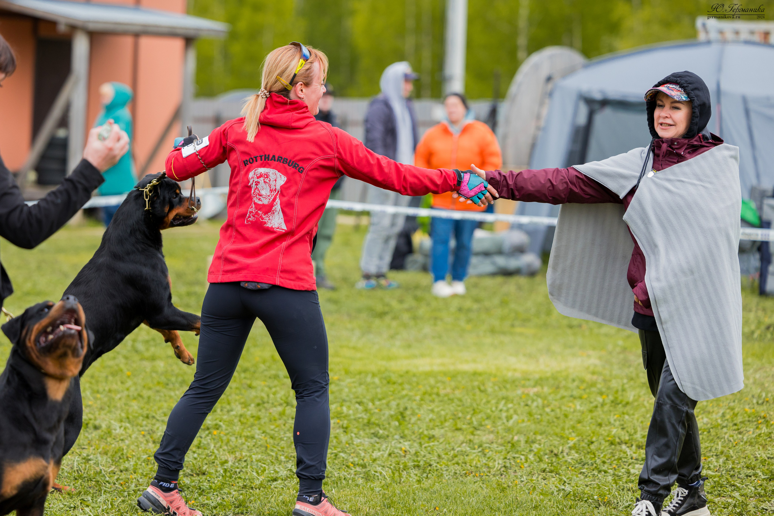 Нижний Новгород 11-12.05.2024 моно ротвейлеров. Фотограф-анималист Юлия Германика