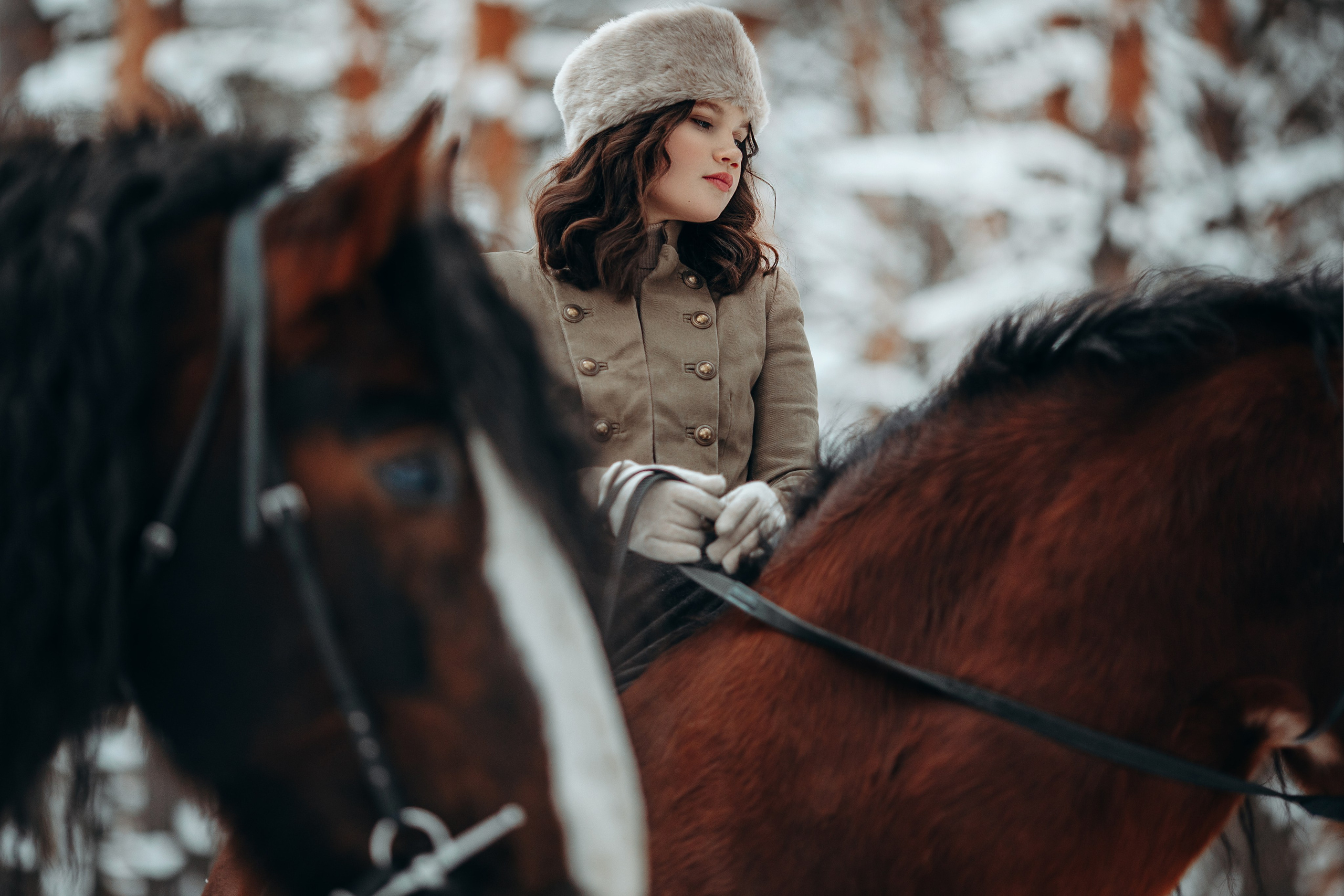 Аня и два тяжика (Малыш и Спартак). Анна Молчанова конный фотограф в Тюмени | фотосессии с лошадьми Тюмень
