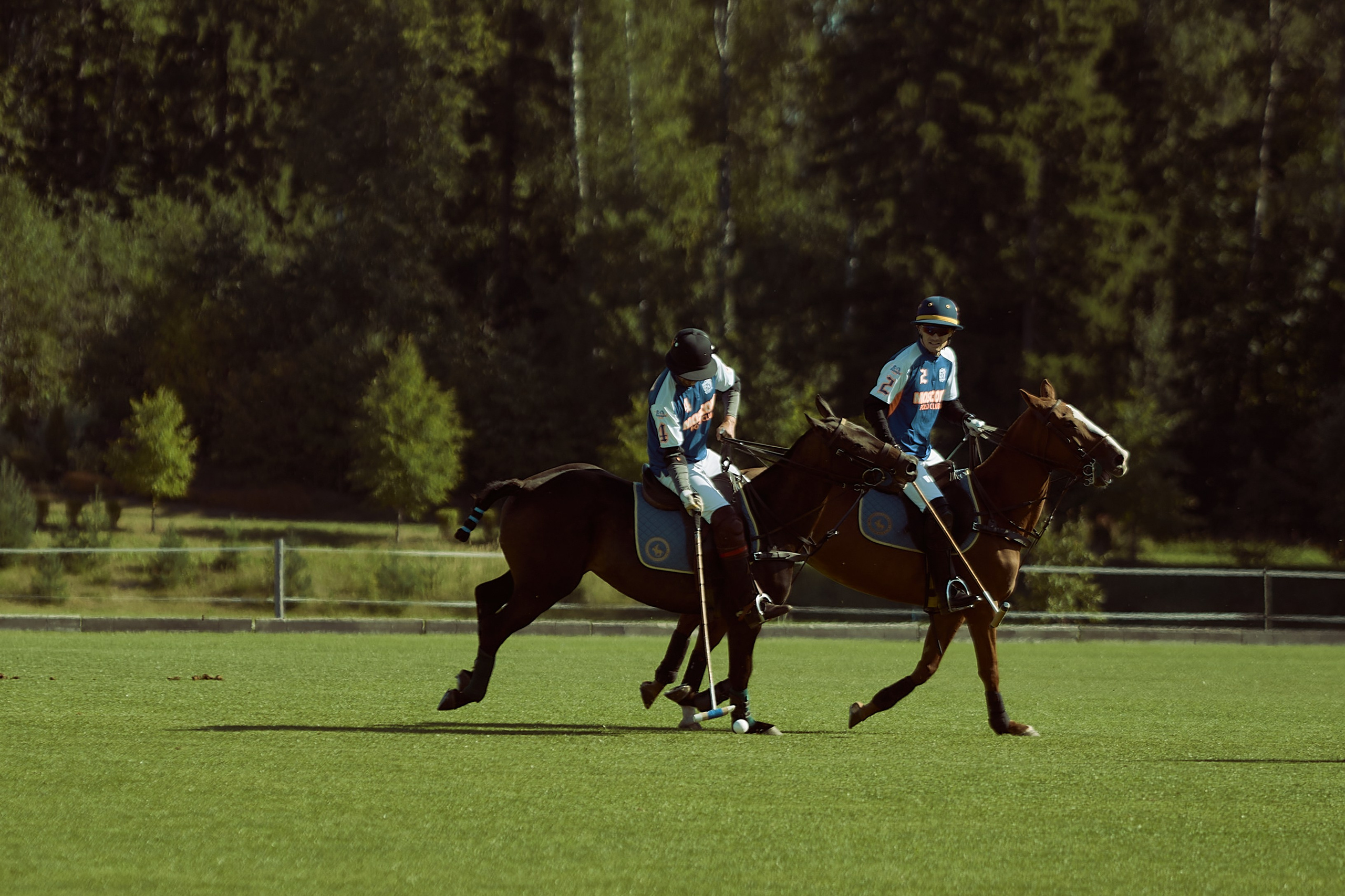 HORSE POLO. Фотограф Наталья Леонова