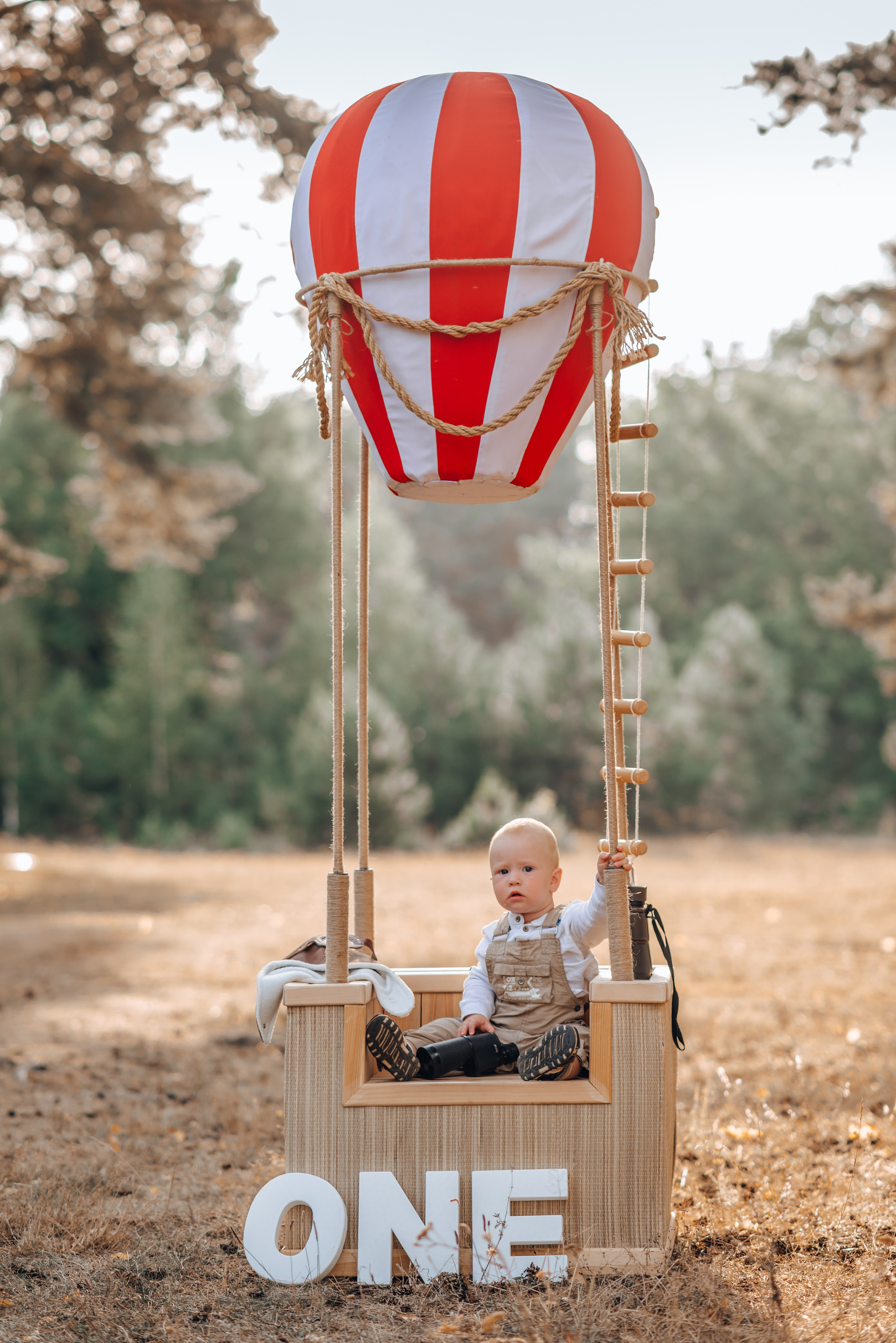 воздушный шар. аренда 1000р