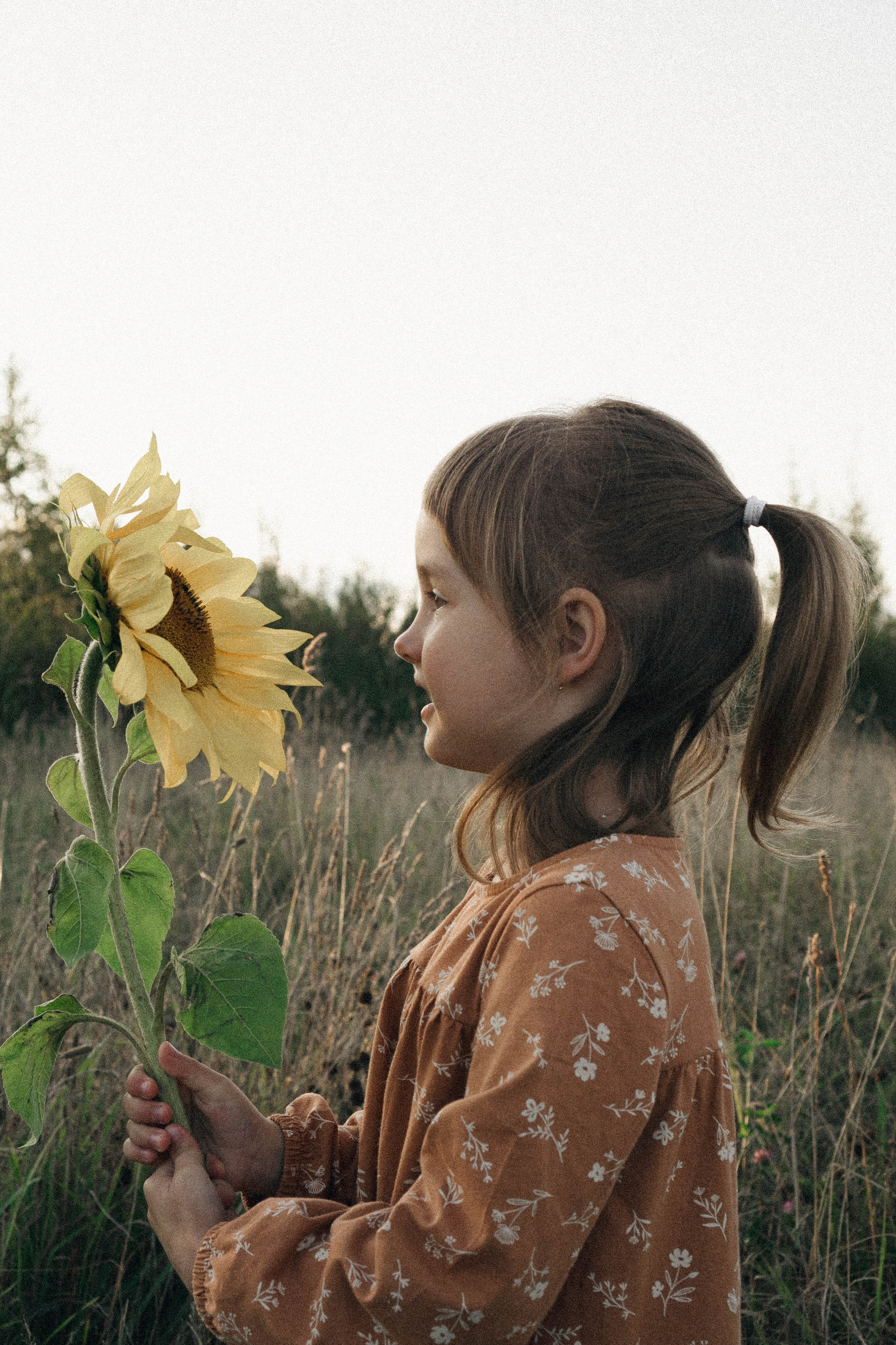 Семейная серия. Профессиональный фотограф, Санкт-Петербург — Виктория Богомолова
