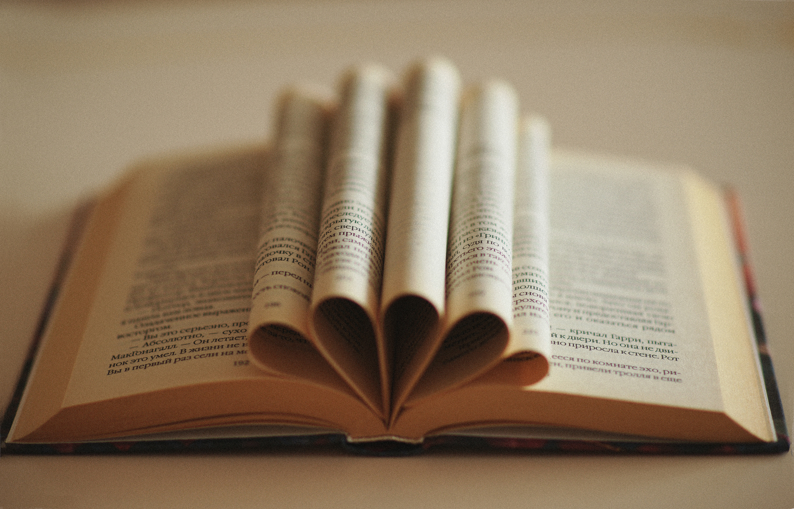 Отзывы. Семейный фотограф в Сочи Лара Salut