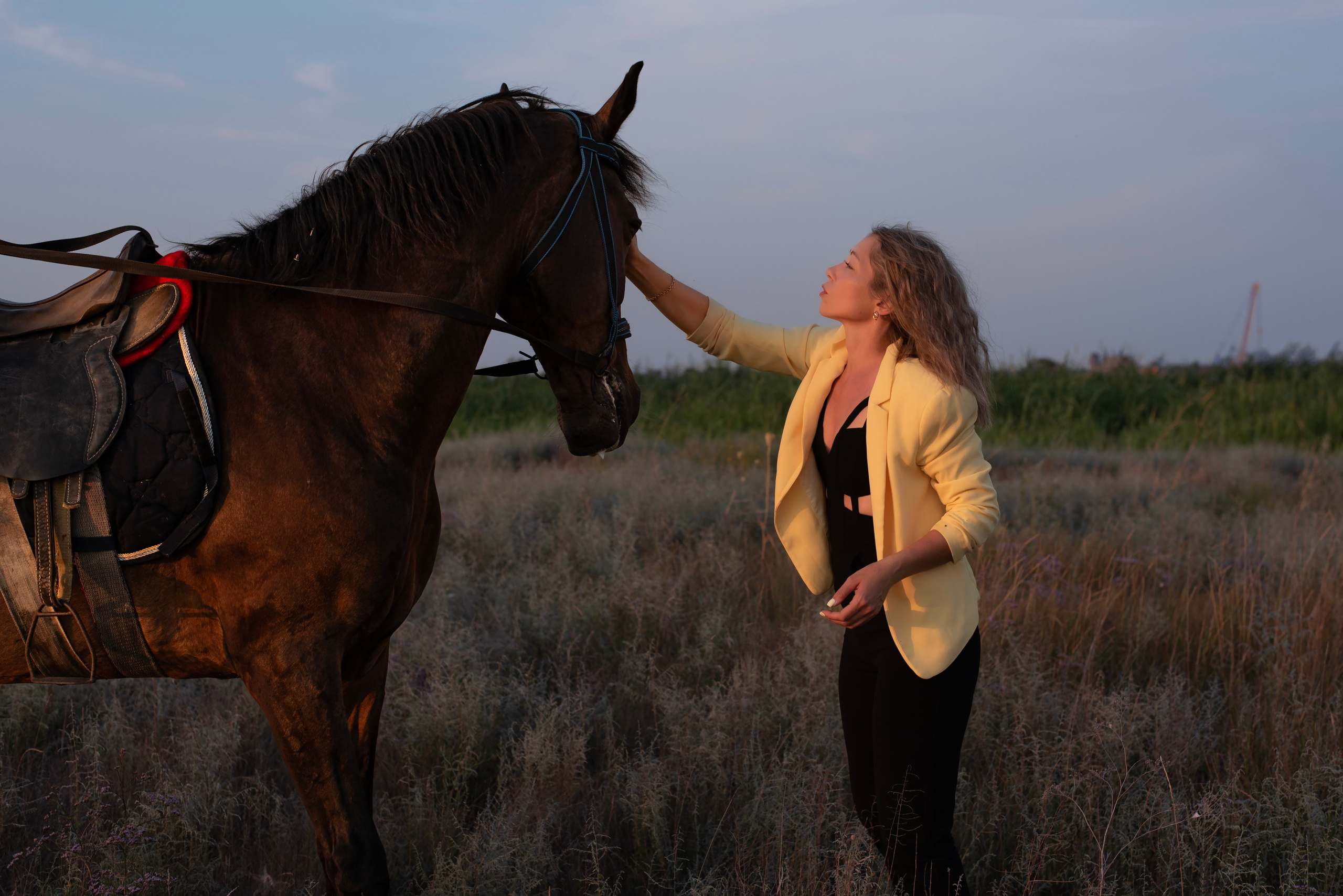 Леди и лошадь. Главная