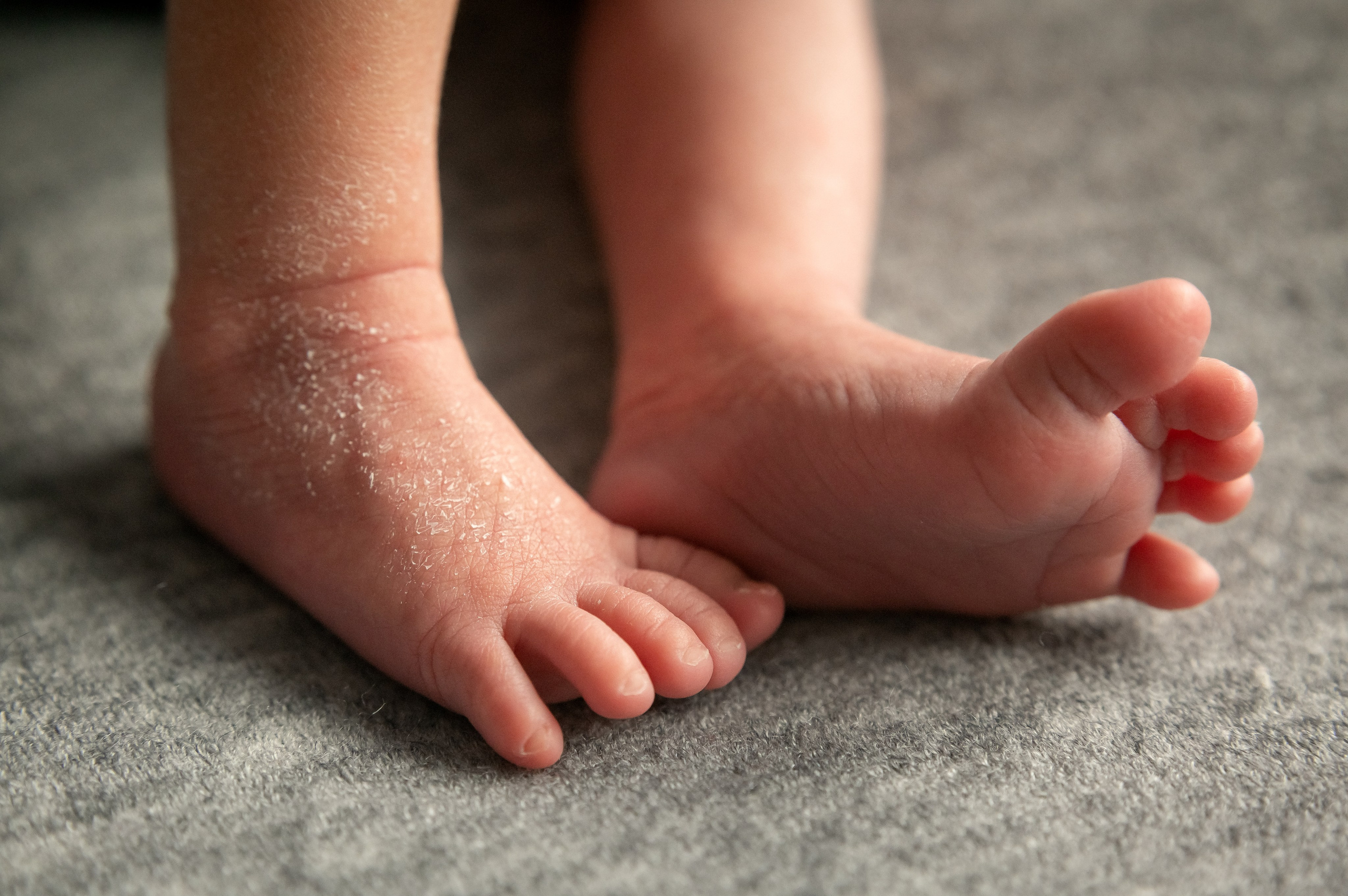 #фотосессия новорожденного. Фотограф новорождённых, семейный, школьный в городе Калуге Евгения