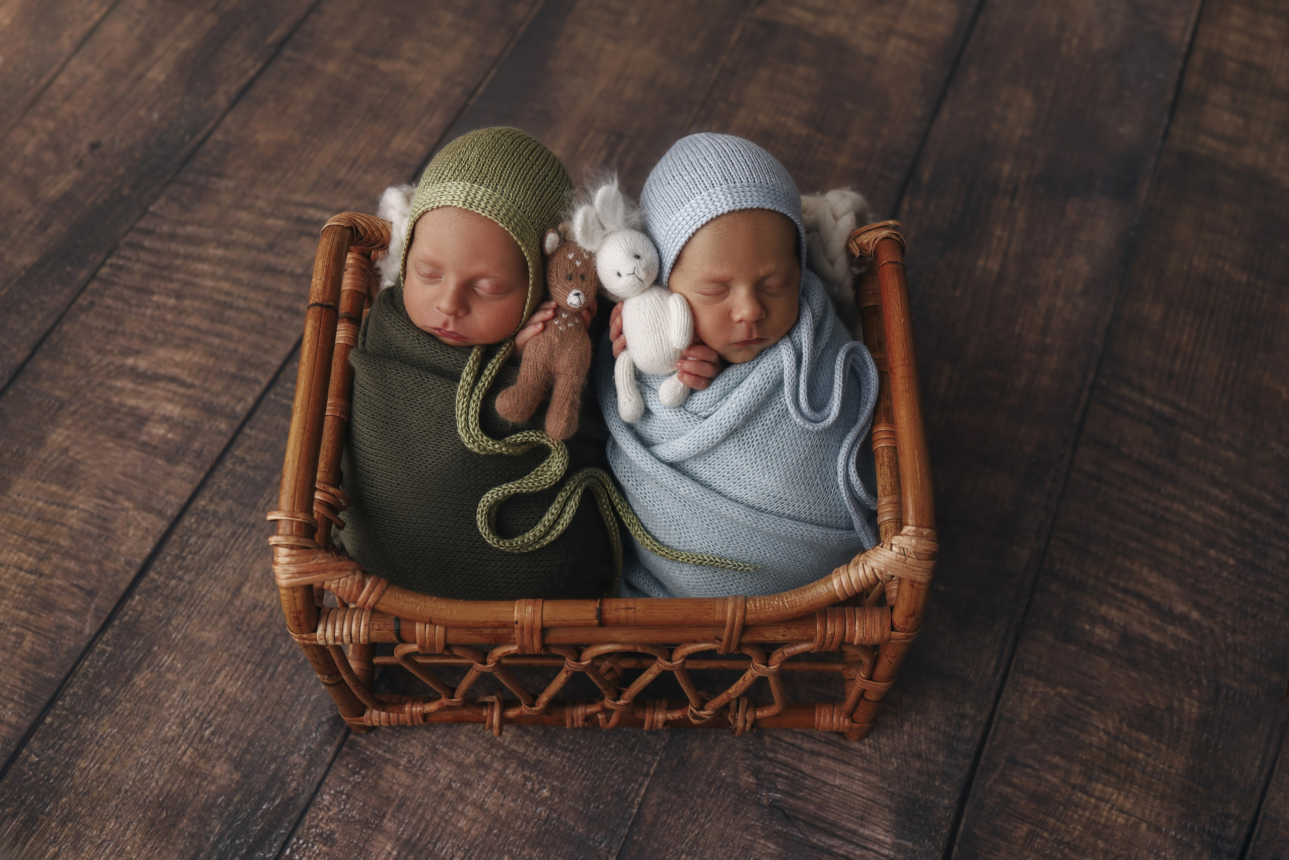 Двойня. Фотограф новорожденных и детский фотограф в Новосибирске