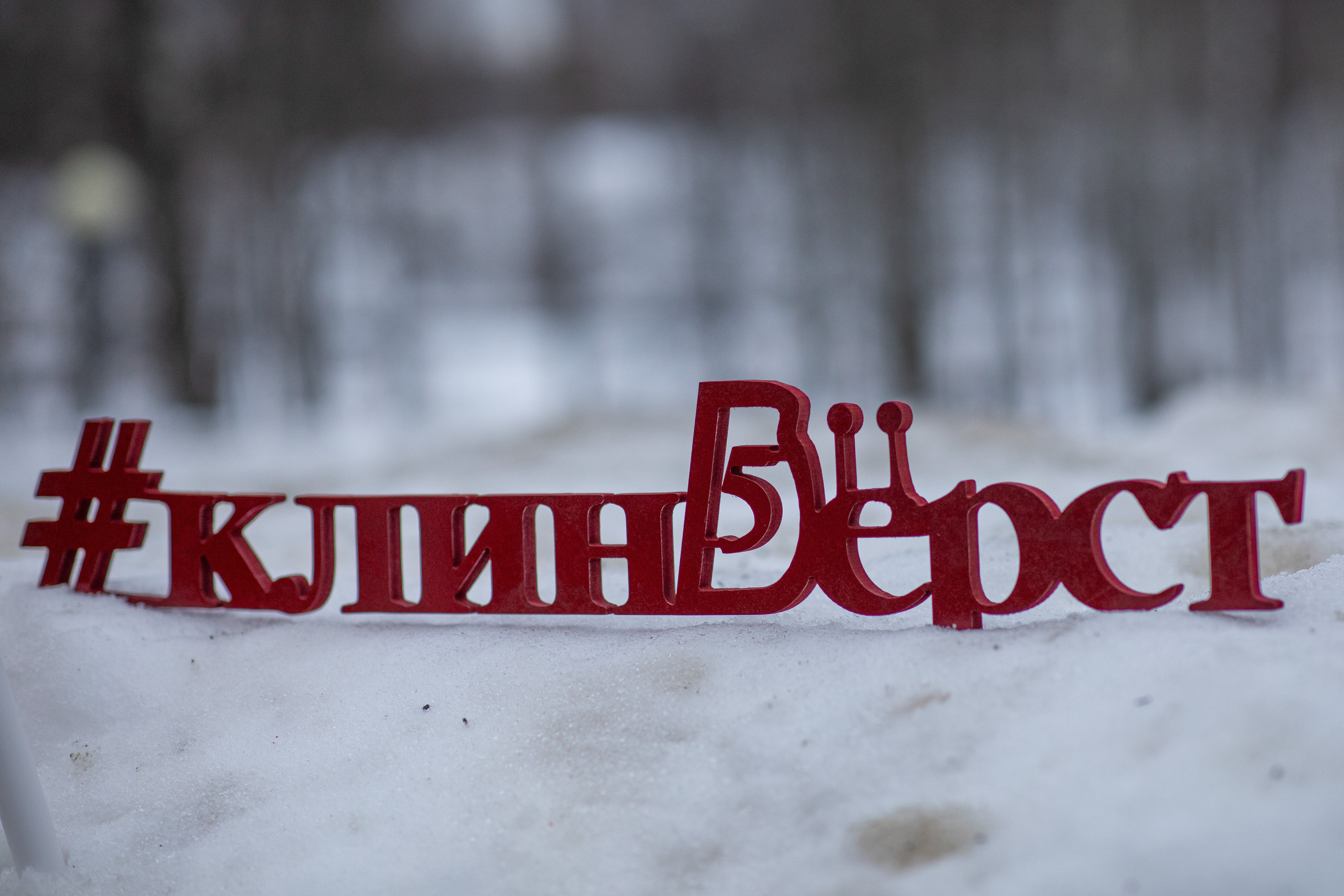 5 вёрст Сестрорецкий парк, г. Клин, 24 февраля 2024 г. Фотограф Сергей Ловкий