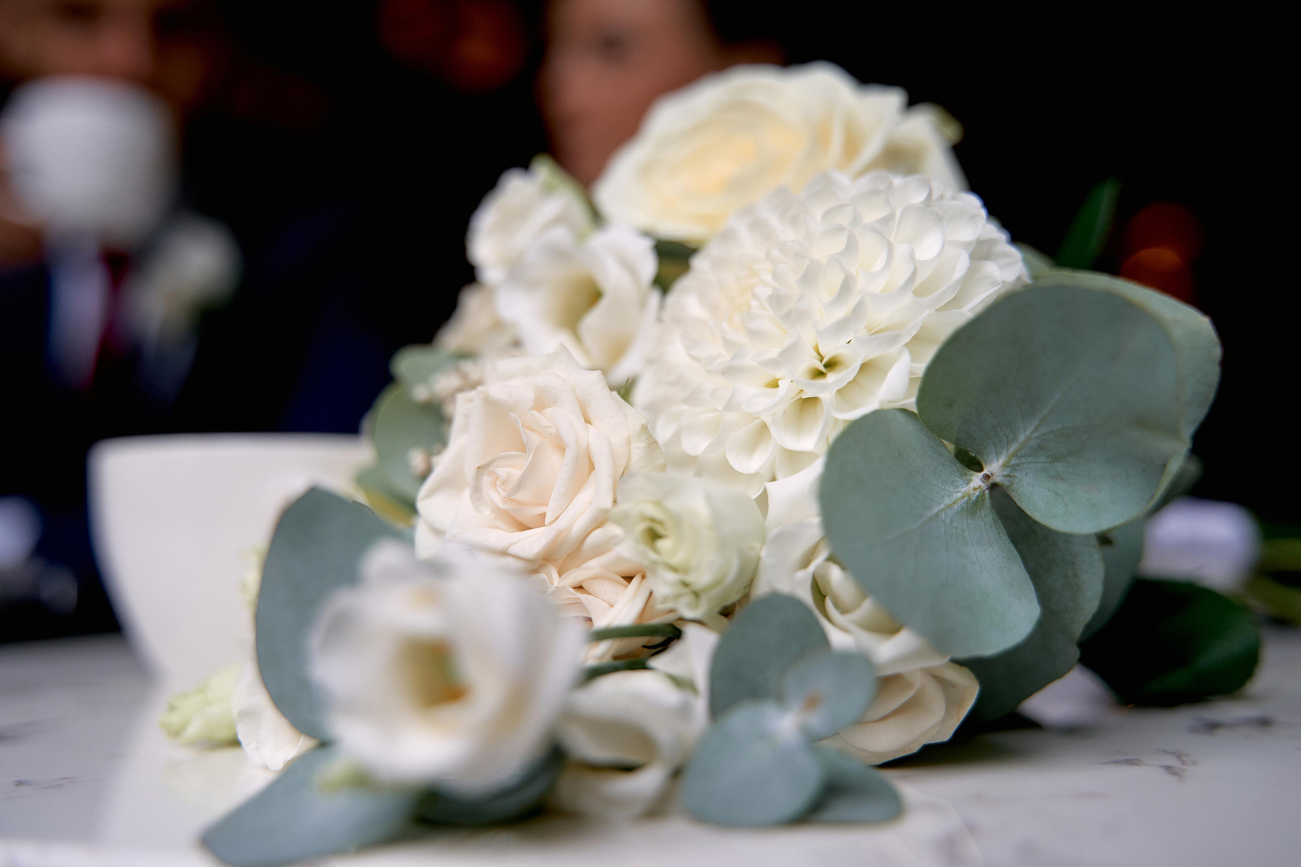 R&D. Photographer and Videographer in Montenegro