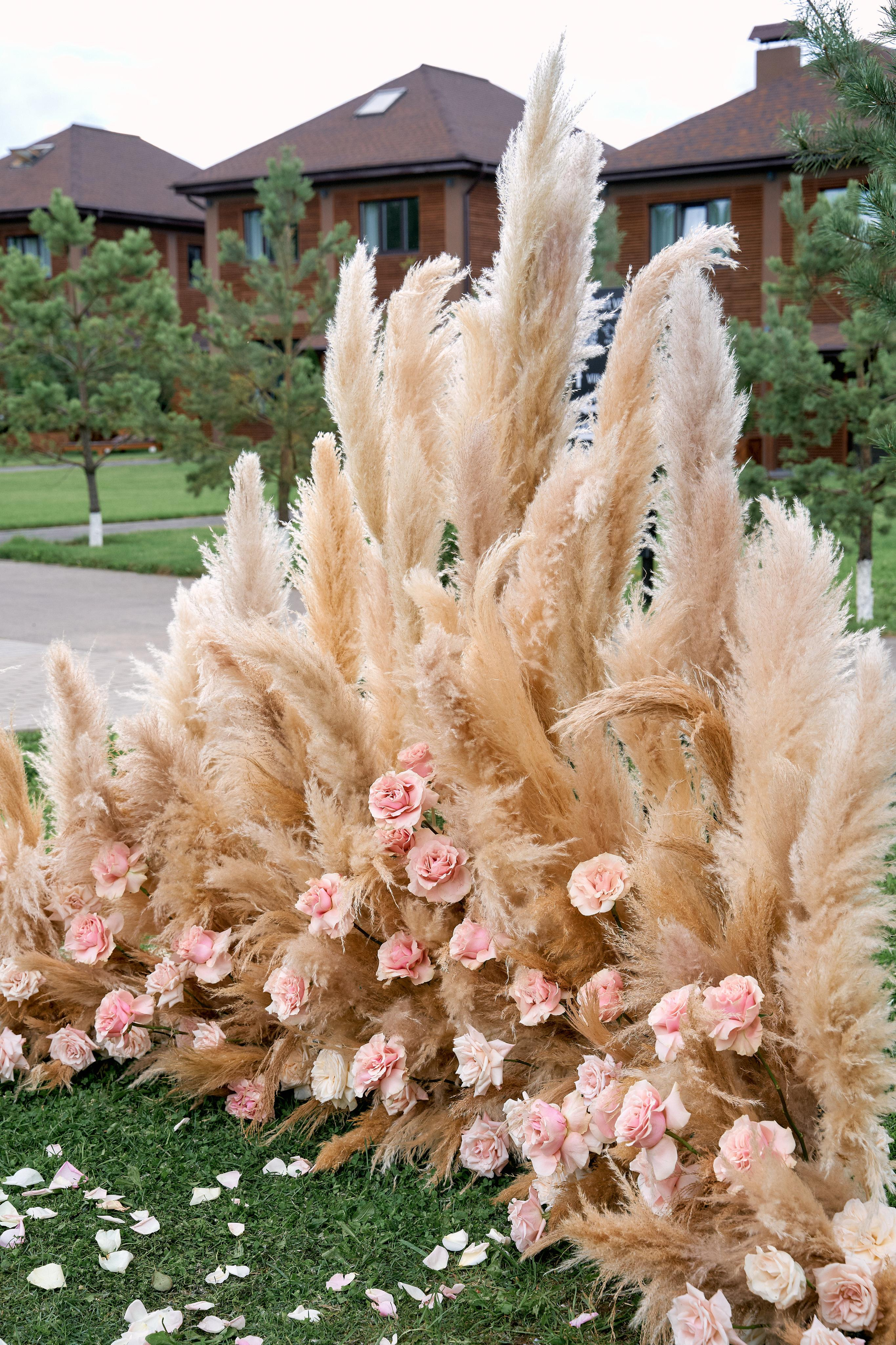 R&S. Photographer and Videographer in Montenegro