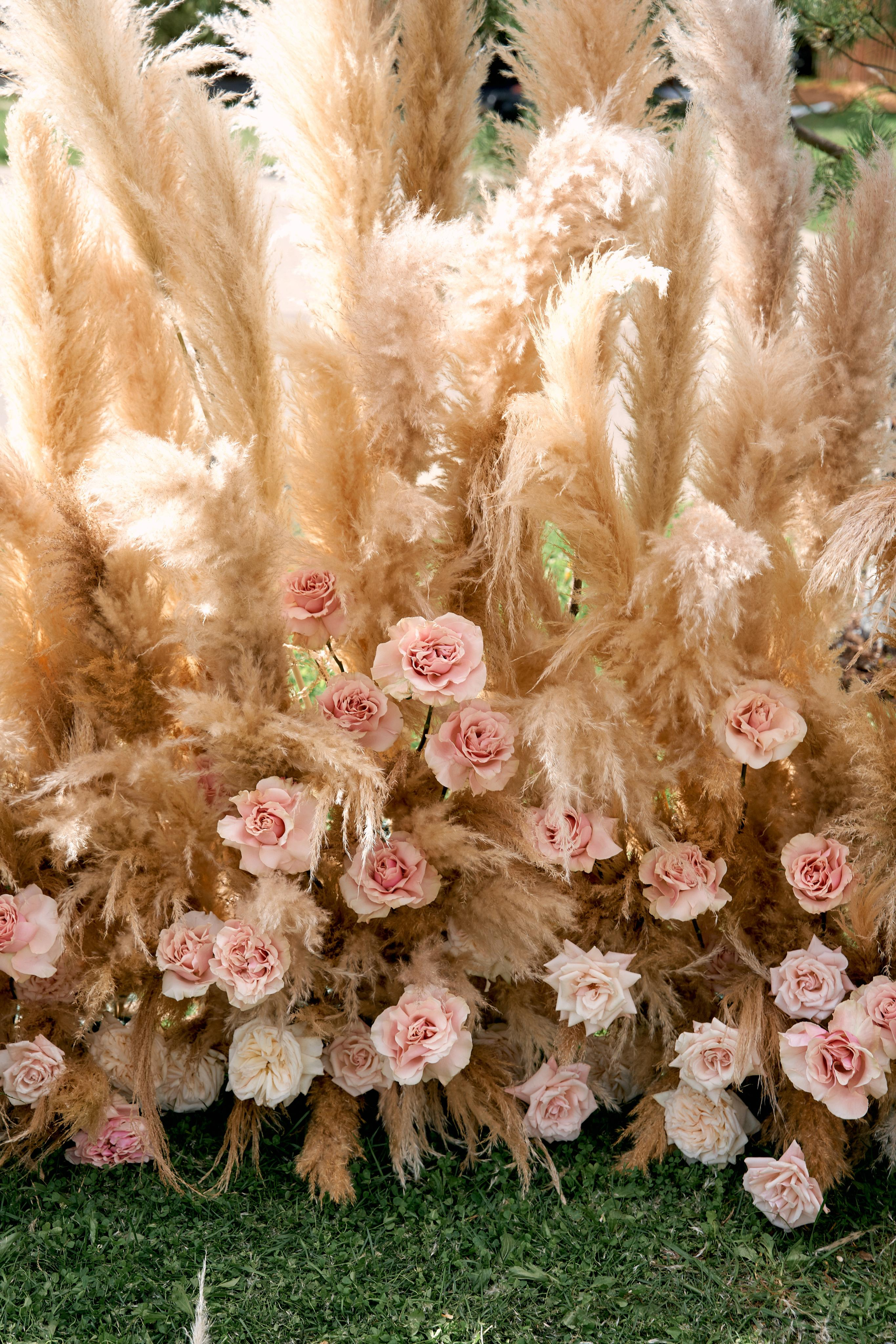 R&S. Photographer and Videographer in Montenegro