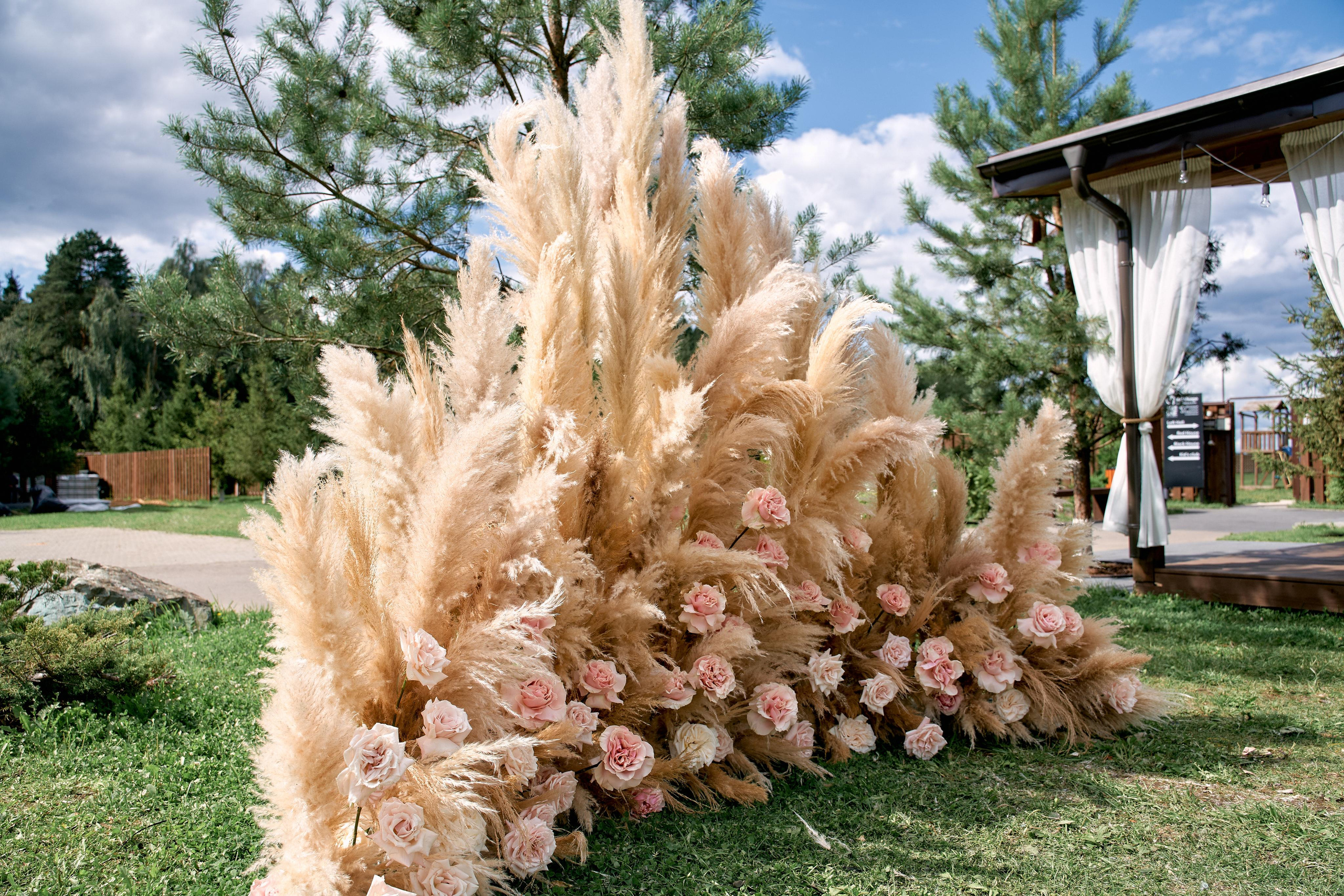 R&S. Photographer and Videographer in Montenegro