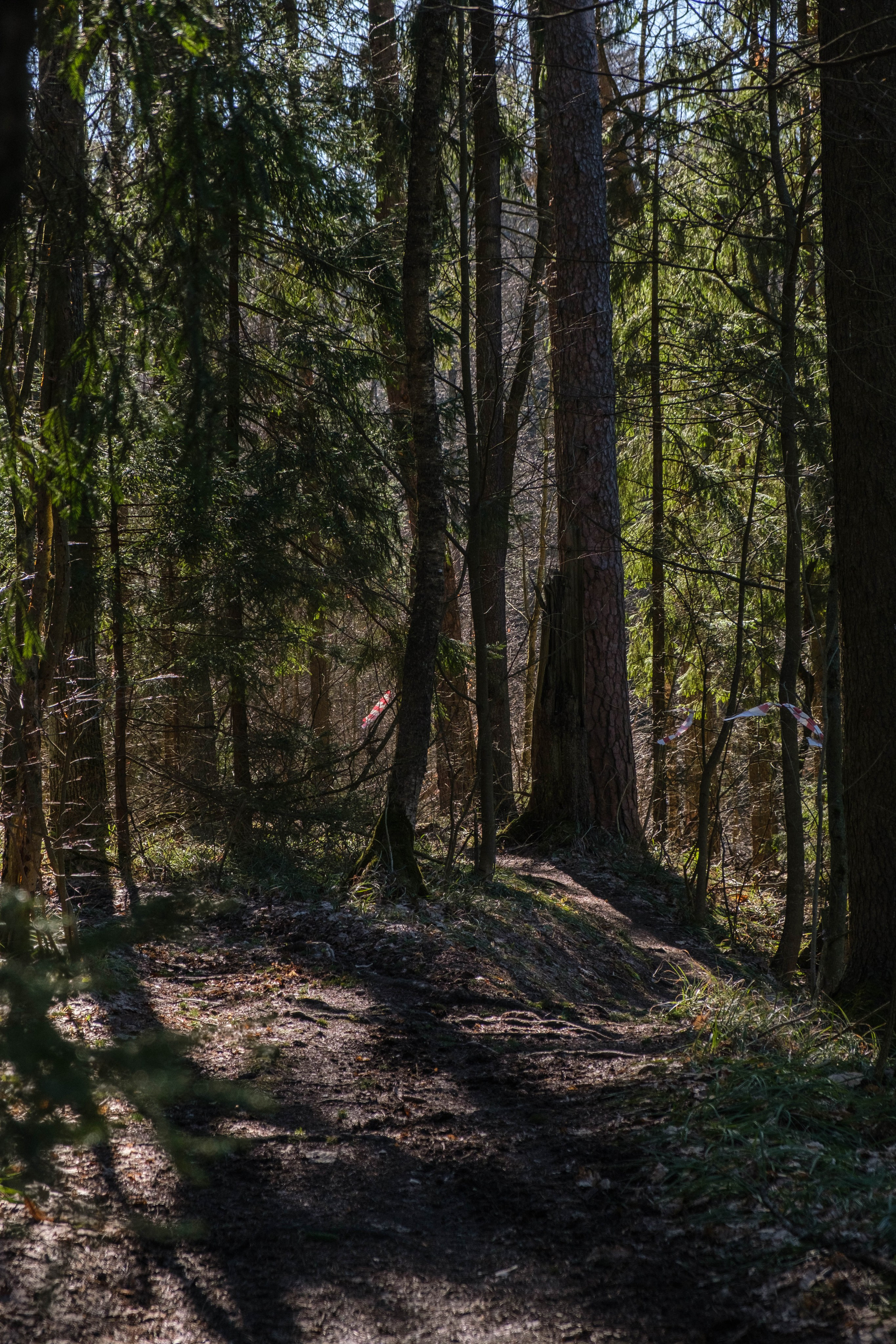 OPEN BAND ЛЁД | 09 марта 2025. Фотограф Диана Иремадзе