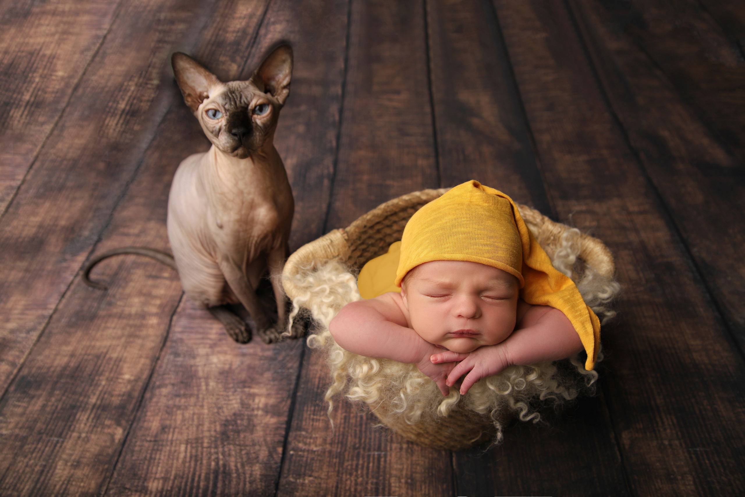 NEWBORN Мальчики. Фотограф новорожденных в Москве и области Мария Самсон