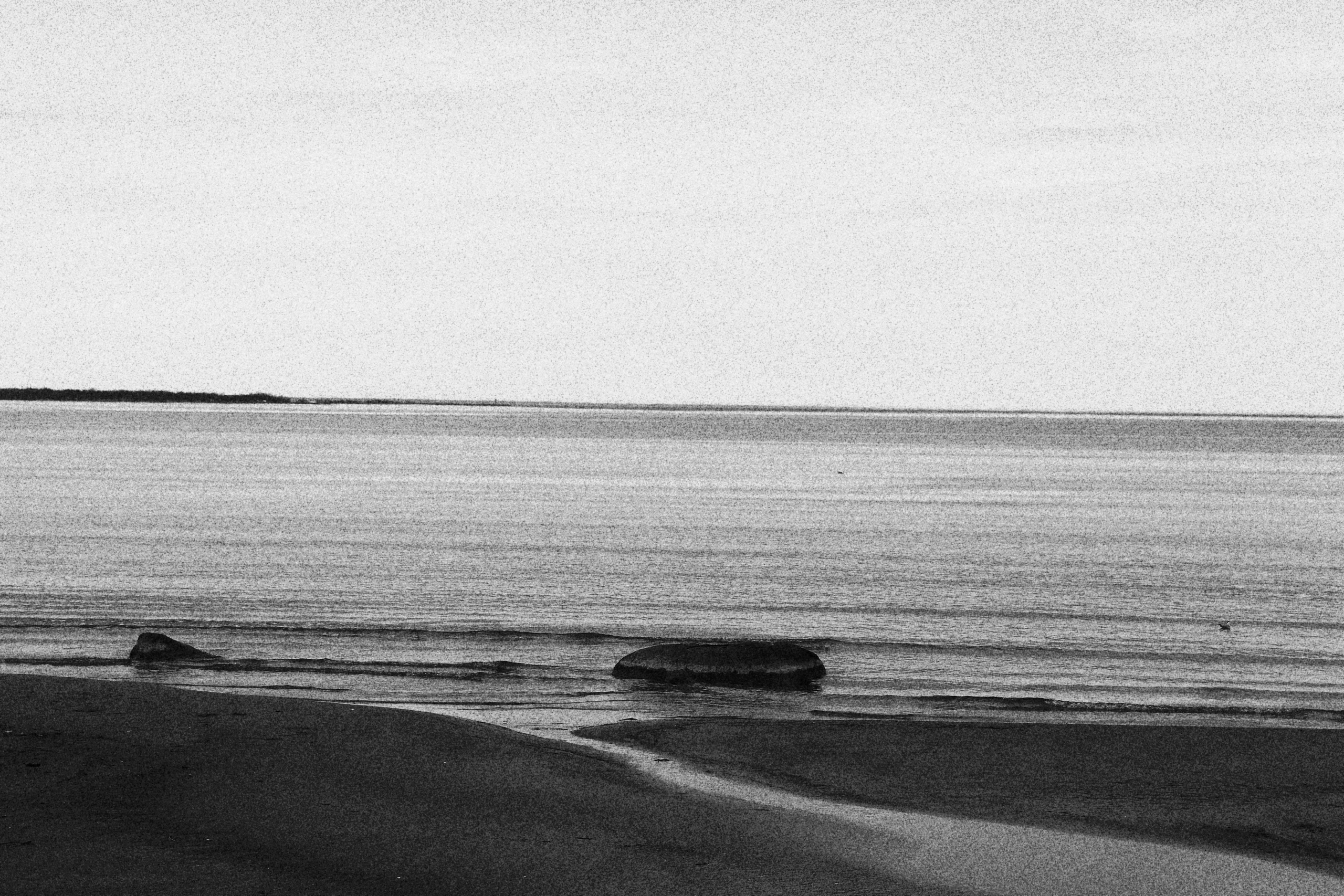 Tallinn. Juliarubis.com