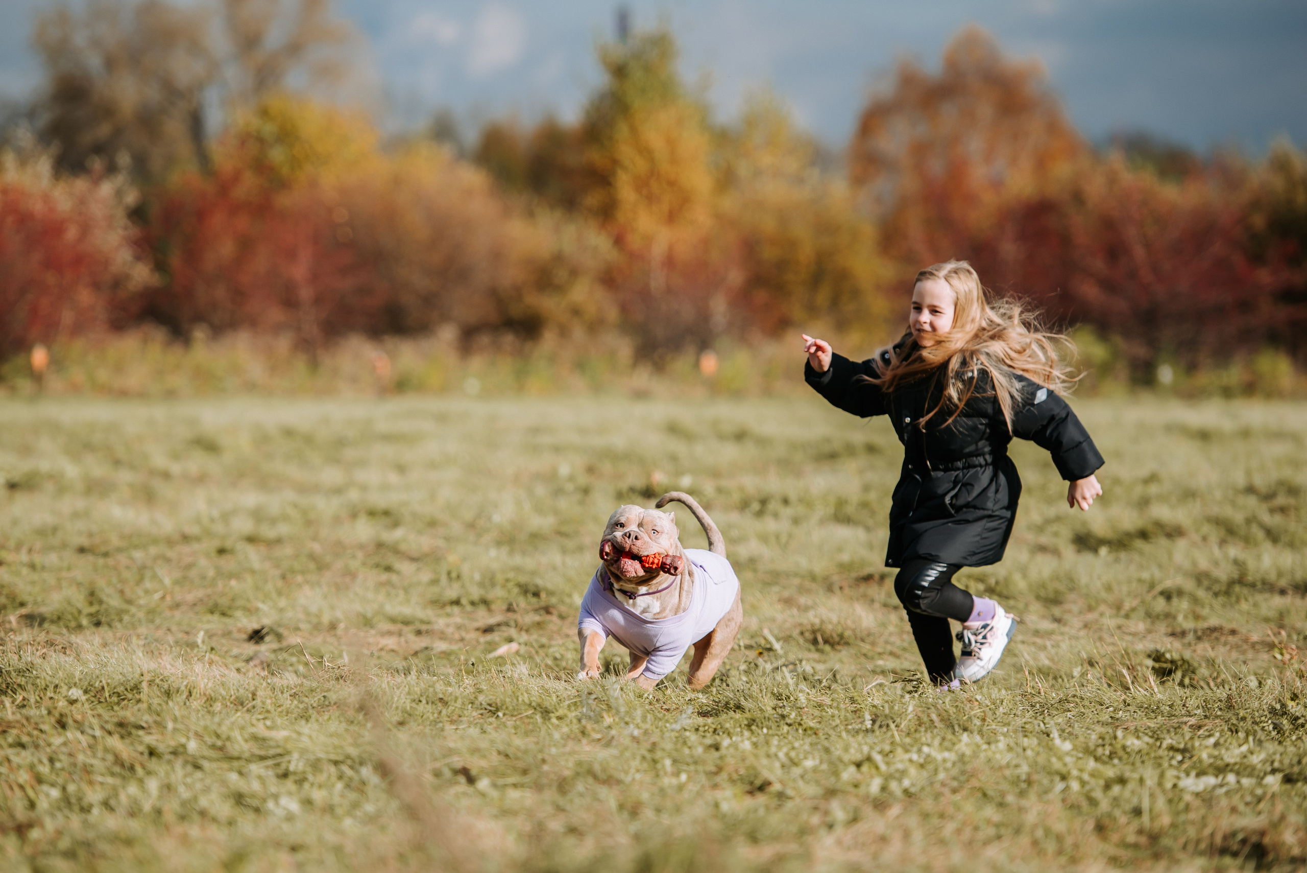 Фотопрогулка с питомцами. Фотограф Диана Оленина Красноярск / Братск