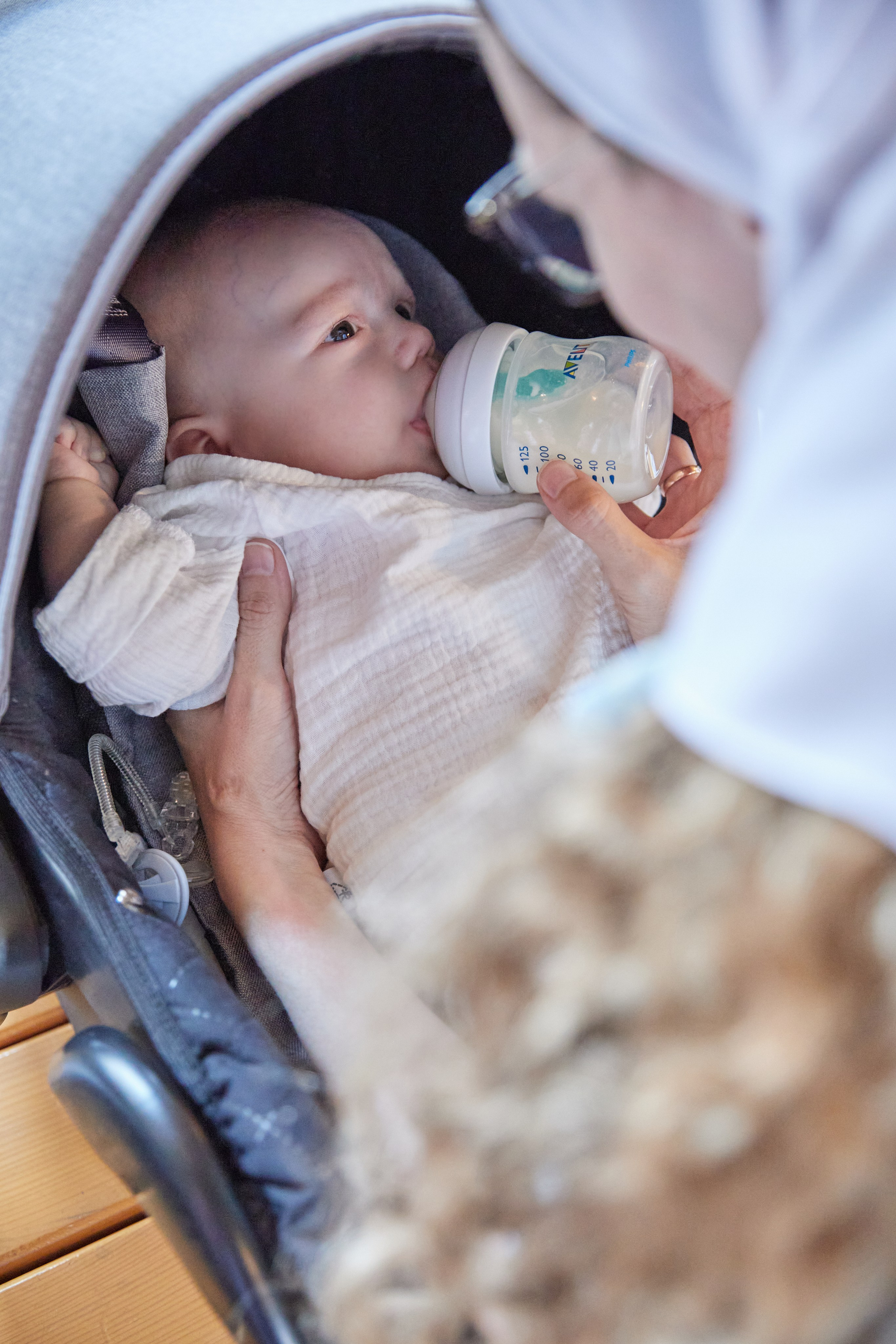 Владимир и Саввелий. Олеся Лыпкань. Профессиональный фотограф Москва и МО