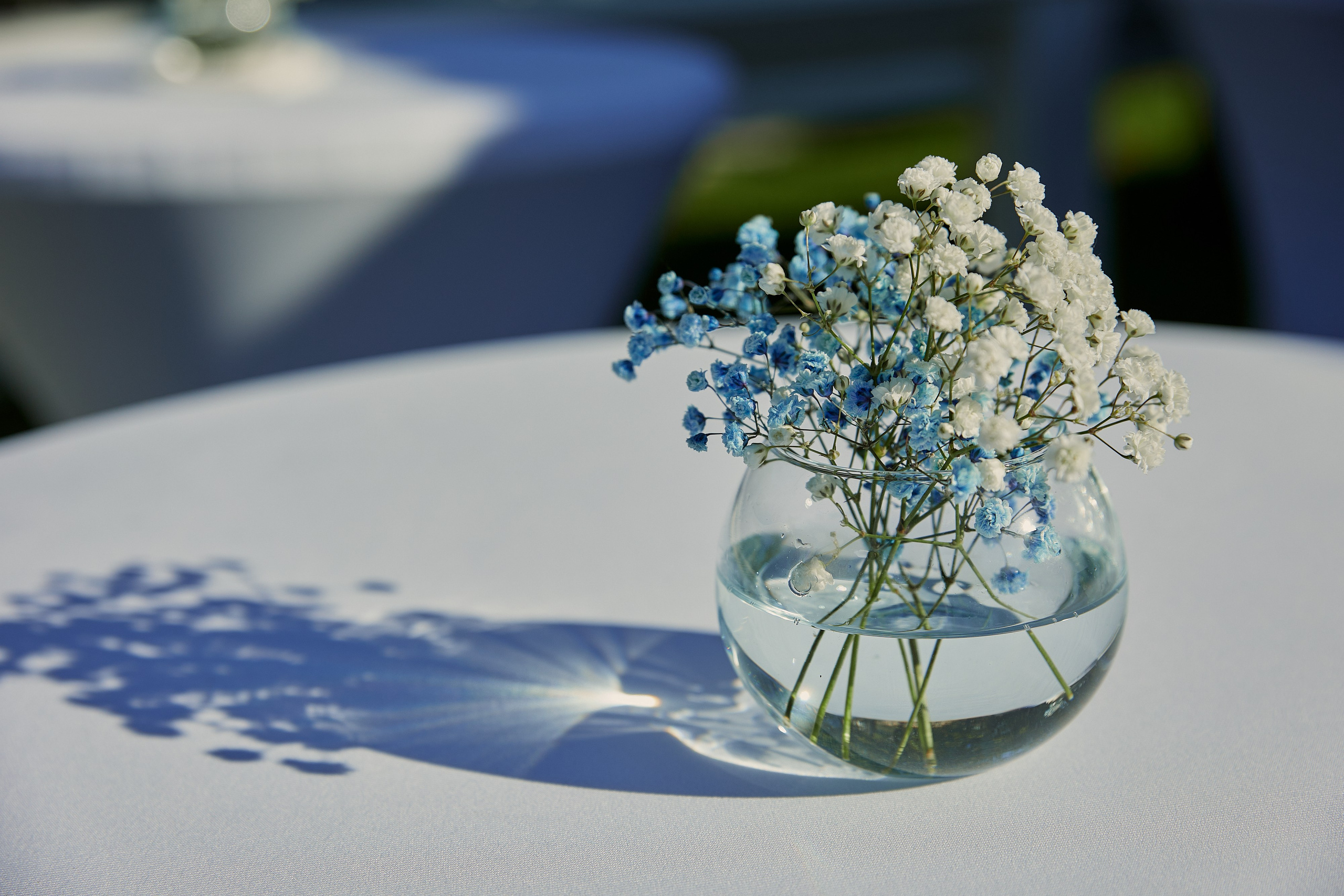 Выпускной Karneeva.online 2024. Репортажный и семейный фотограф Ухова Наталья в Москве