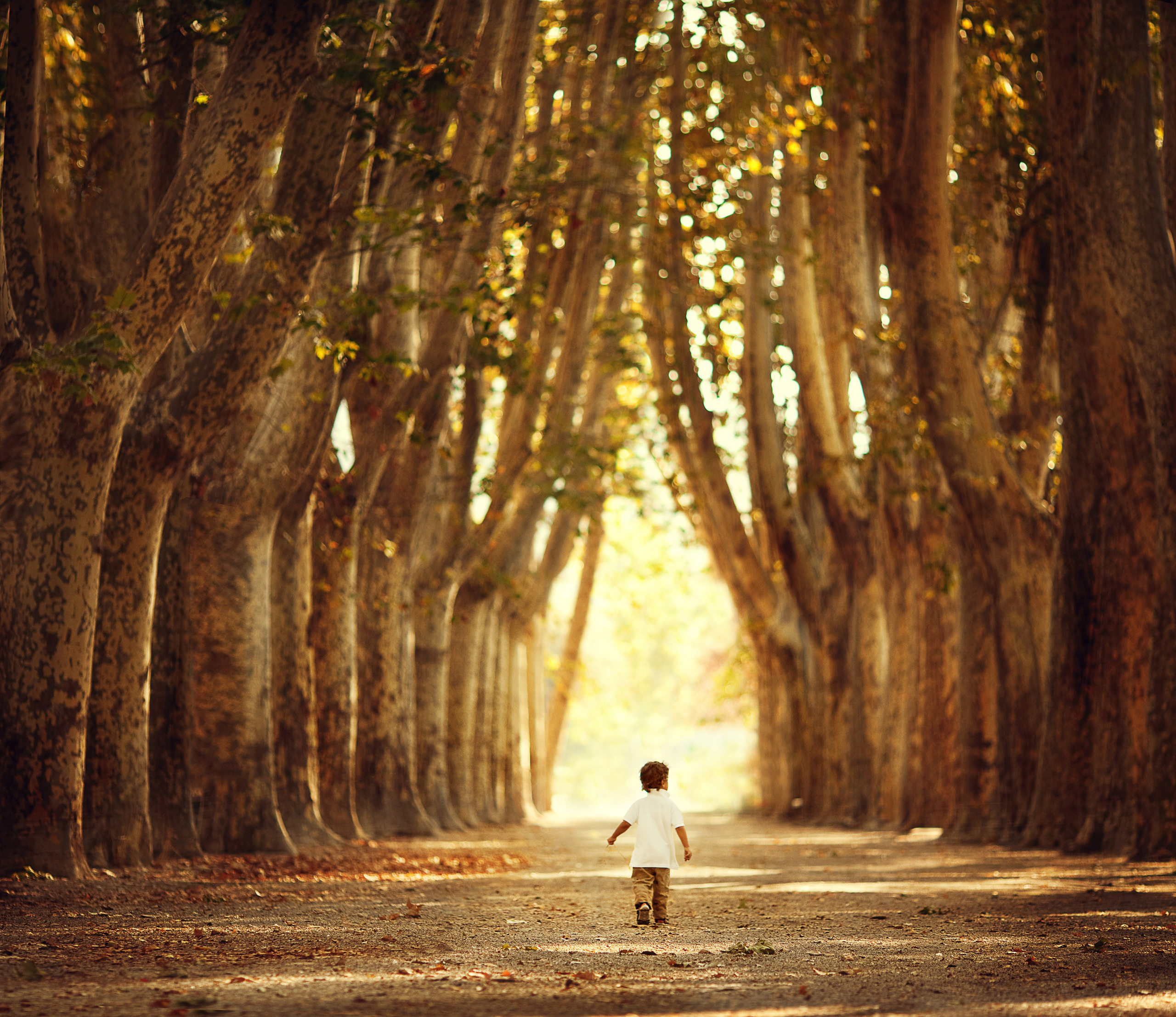 Портфолио. Карнеева Елена. Детский, семейный фотограф