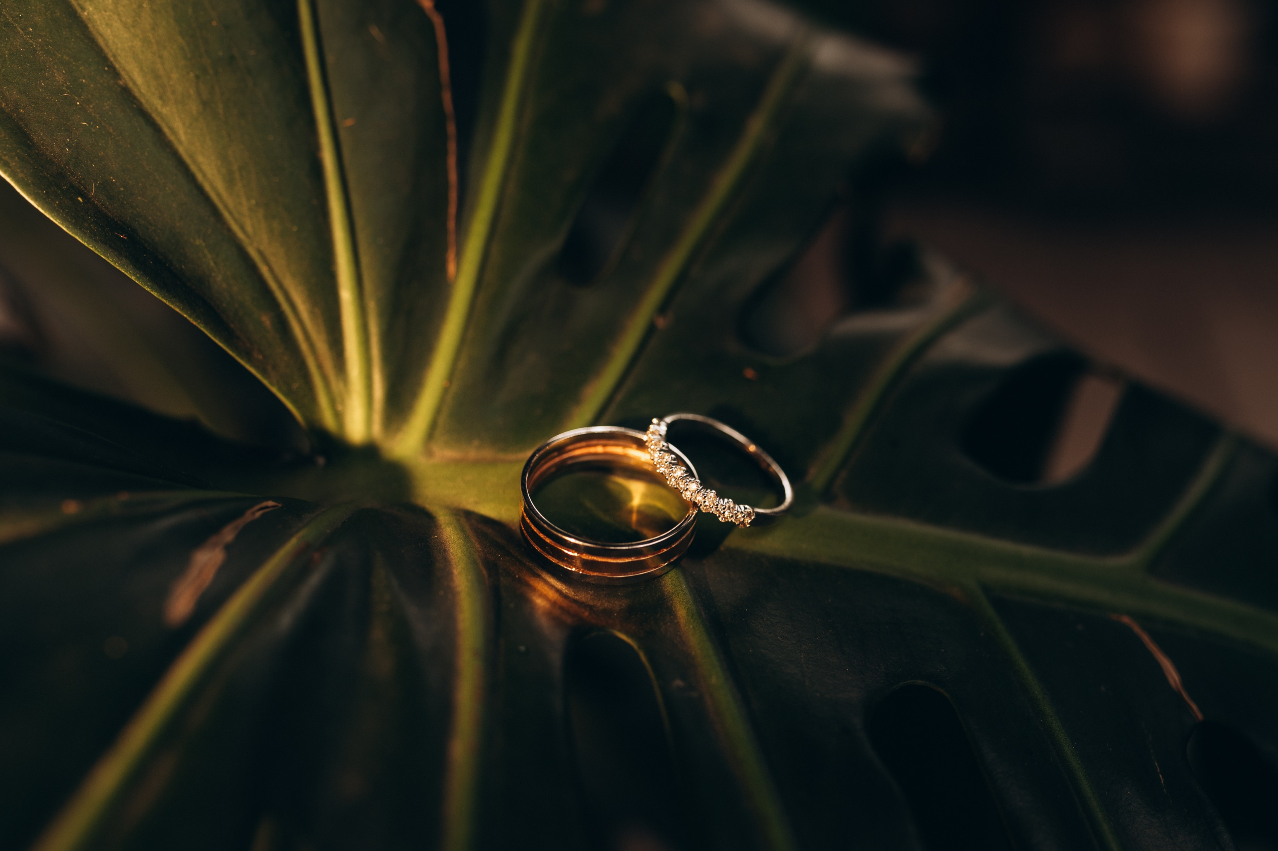 Виктор и Ксения. Свадебный и студийный фотограф Ирина Котикова